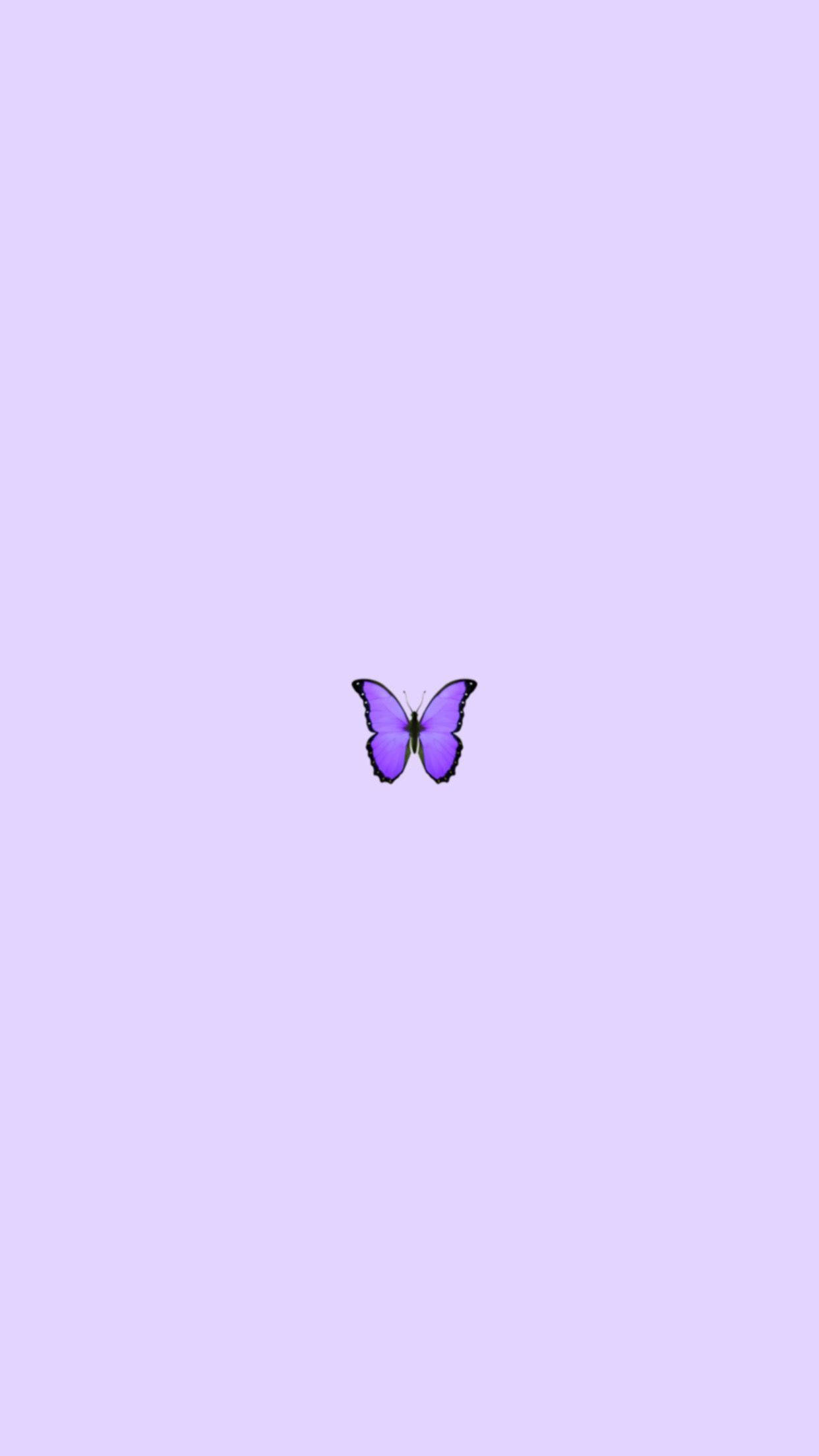 purple butterfly phone 桌布 壁紙 — 一隻帶有黑色邊緣的紫色蝴蝶，停留在柔和的薰衣草背景中央。