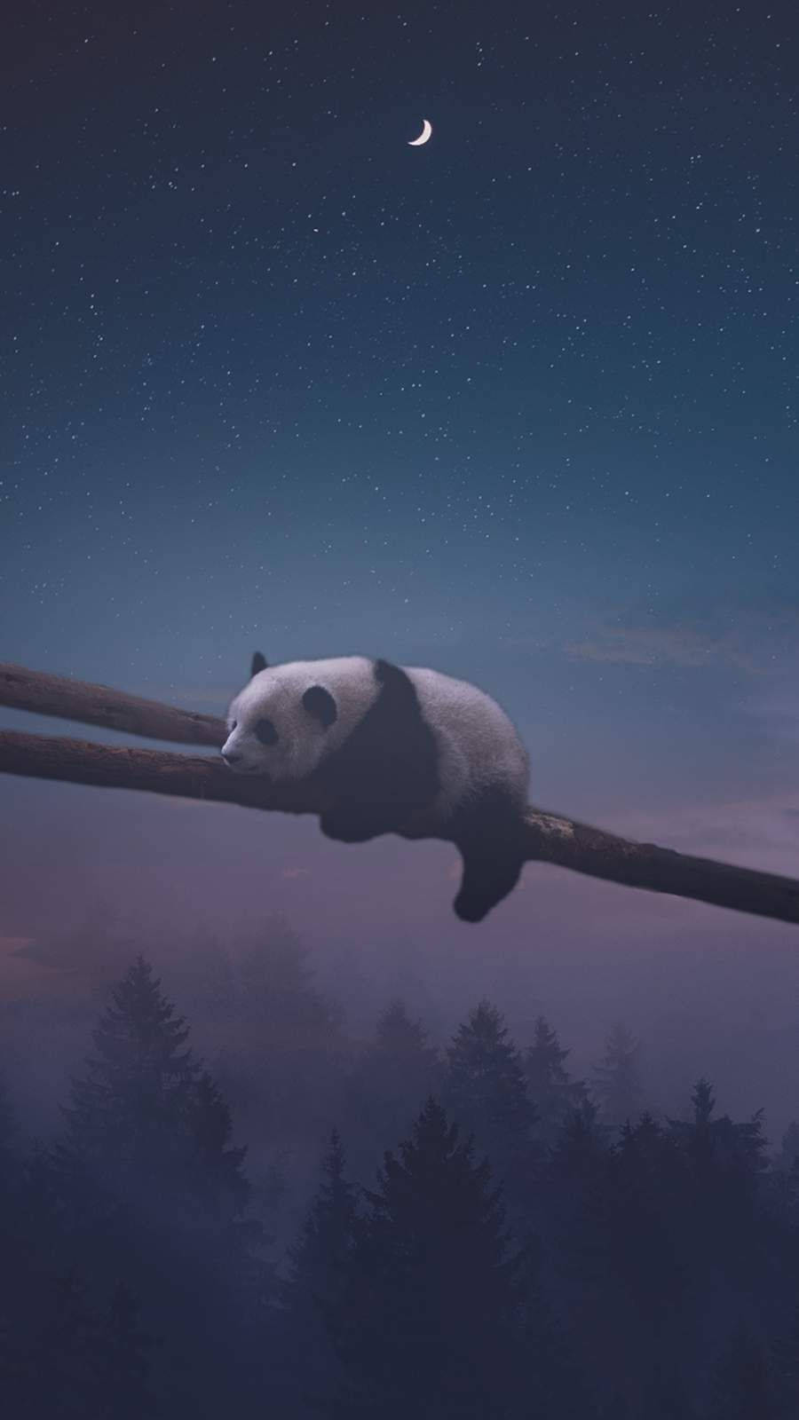 藝術 桌布 壁紙 — 一隻平靜的熊貓在繁星點點的夜空下，在霧氣繚繞的松樹上方掛著一彎新月的樹枝上睡覺。
