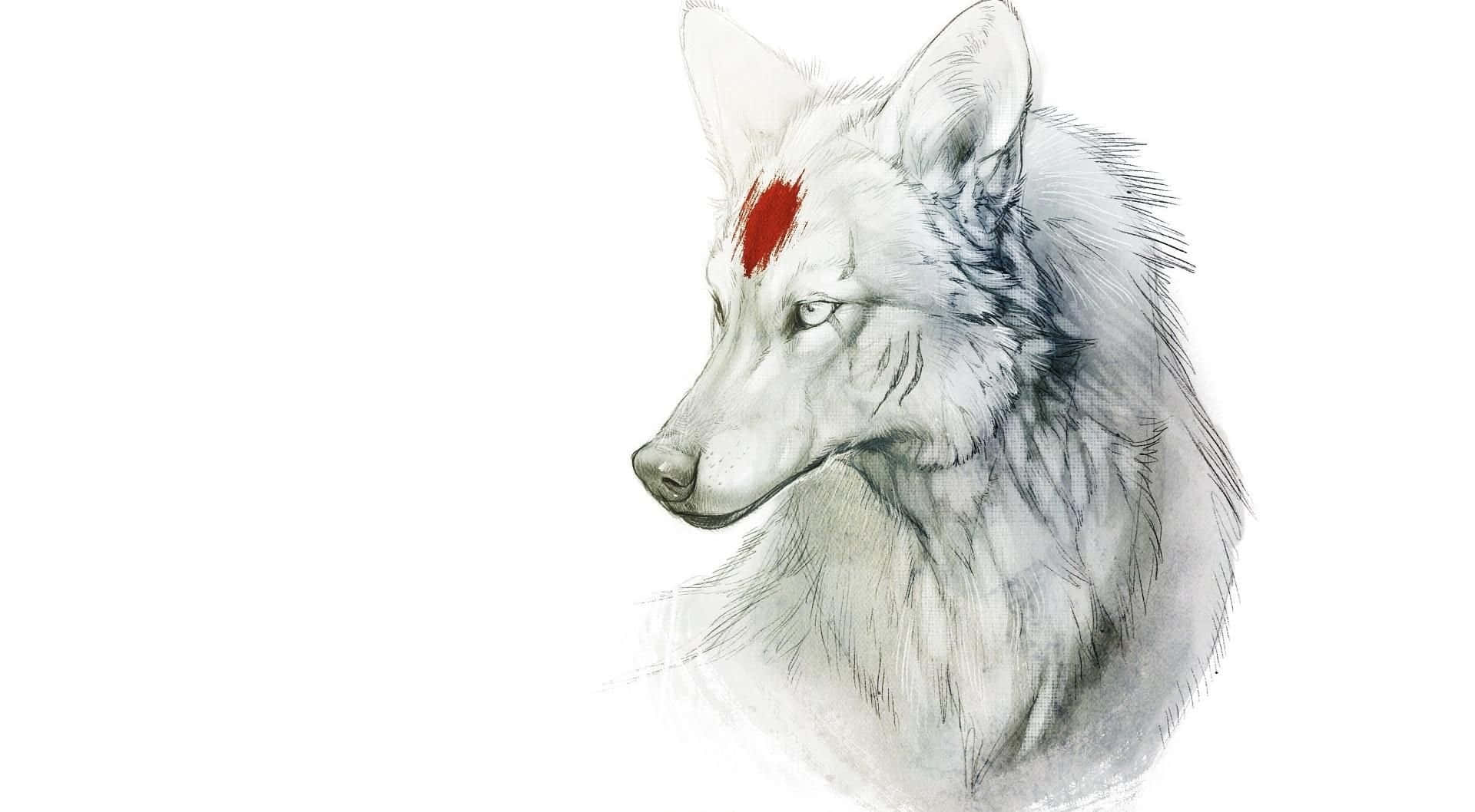 Wolf Minimalist 桌布 壁紙 — 一隻平靜的白狼，額頭上有紅色印記，在柔和的水彩插圖中向左凝視。