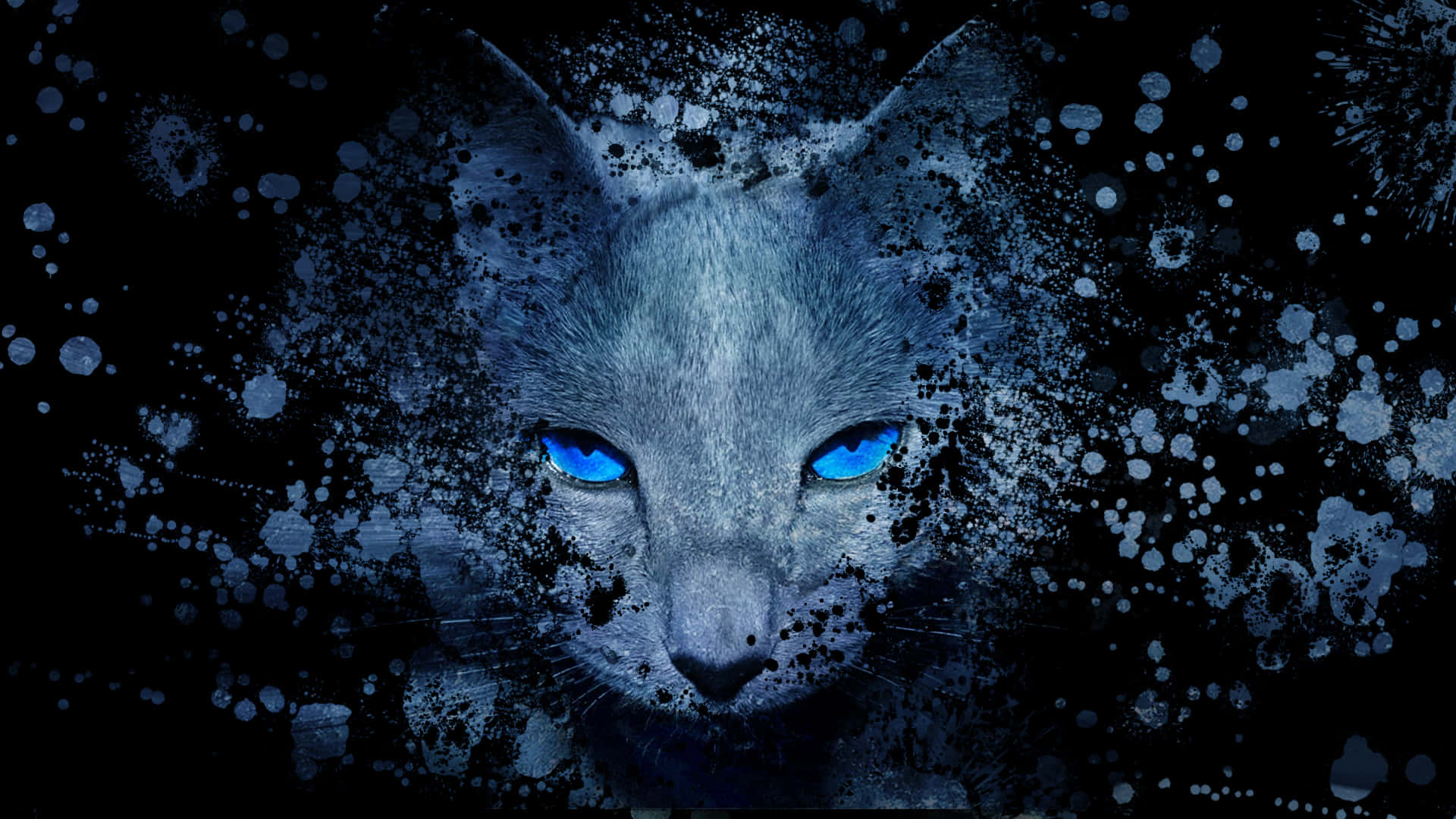 Cat Eyes 桌布 壁紙 — 一隻幽靈般的藍眼貓從帶有冰藍和黑色色調的深色潑濺背景中浮現。