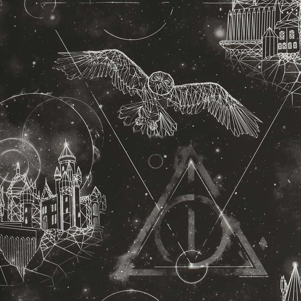 Harry Potter Black And White 桌布 壁紙 — 一隻幾何貓頭鷹在星空宇宙背景下翱翔於浮動城堡和神秘符號之上。