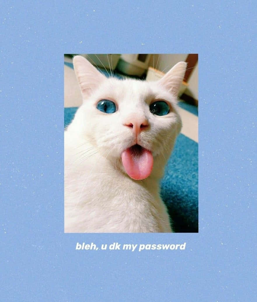有趣美學GIF 桌布 壁紙 — 一隻引人注目的藍眼白貓在淺藍色斑點背景上伸出粉紅色舌頭。