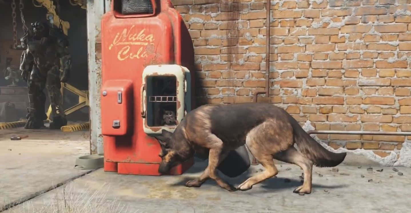 Fallout 4 Dogmeat 桌布 壁紙 — 一隻德國牧羊犬在一個破敗的後末日城市後巷中，嗅著一個生鏽的紅色Waka-Cola自動販賣機。