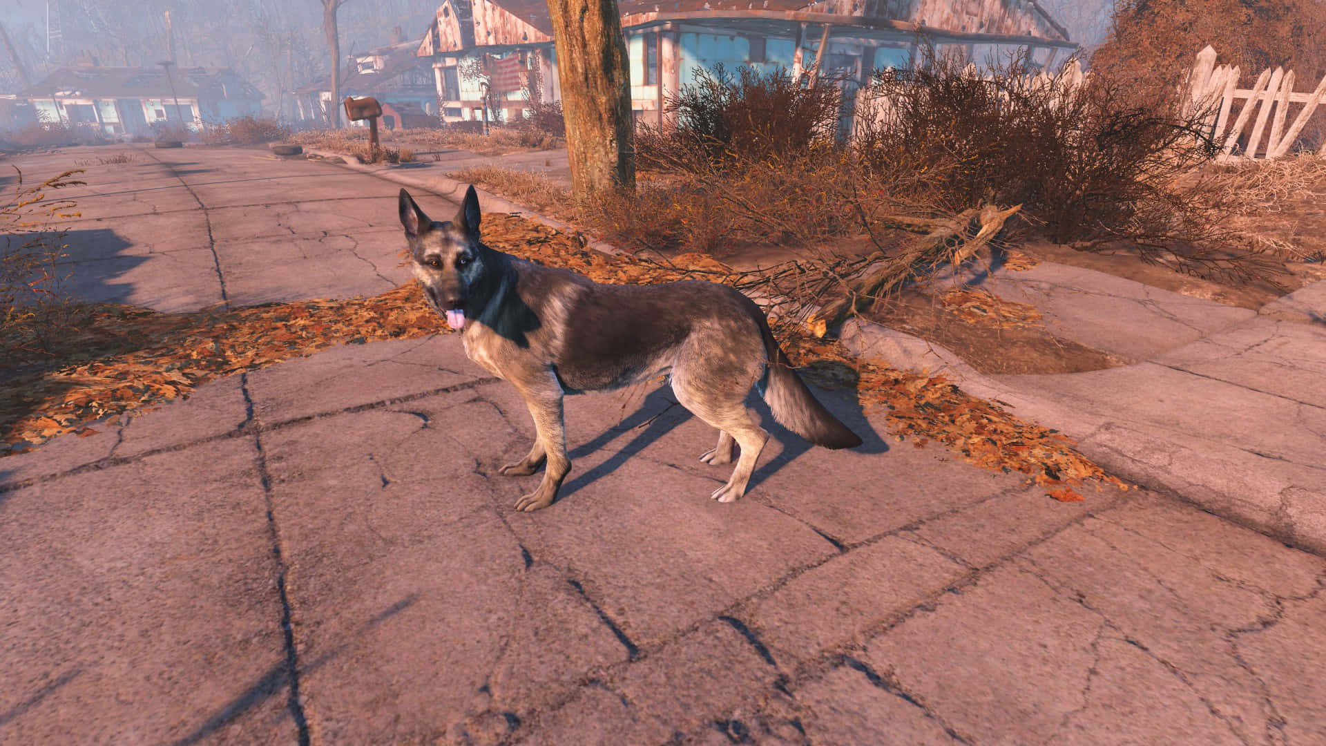 Fallout 4 Dogmeat 桌布 壁紙 — 一隻德國牧羊犬在荒涼的末世後郊區街道上，警覺地站在佈滿落葉的破裂柏油路上。