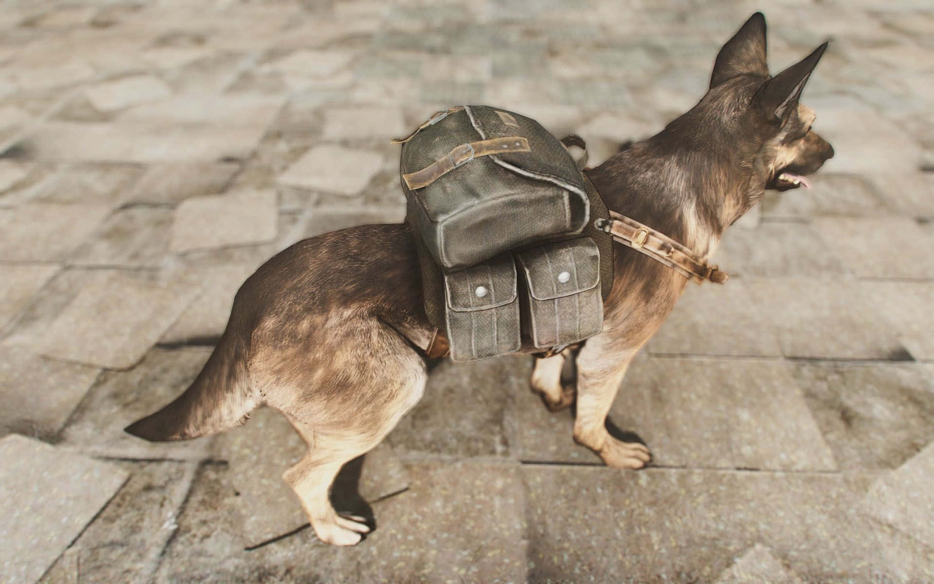 Fallout 4 Dogmeat 桌布 壁紙 — 一隻德國牧羊犬背著一個堅固的橄欖綠色背包，在陽光普照的石路上輕快地走著。