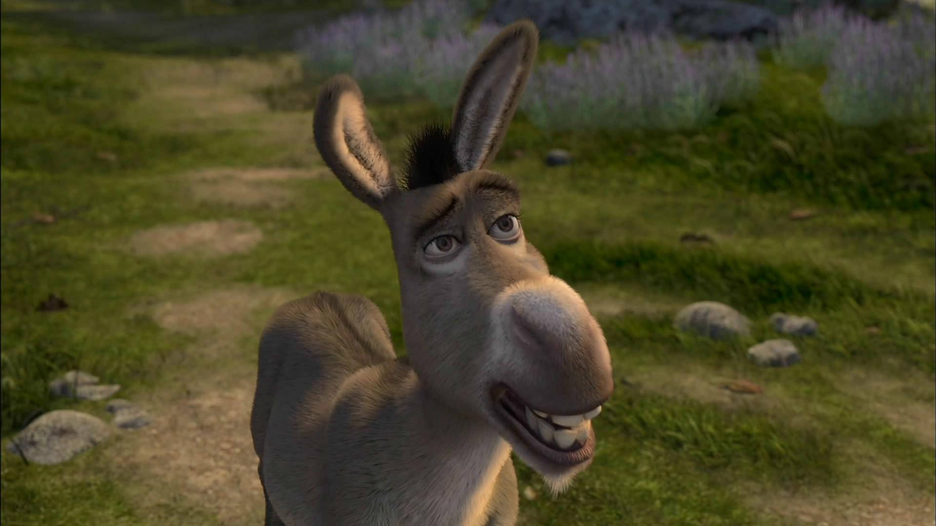 Shrek 2 桌布 壁紙 — 一隻快樂的動畫驢子，大眼睛，咧嘴大笑，站在有紫色花朵和岩石的草地上。