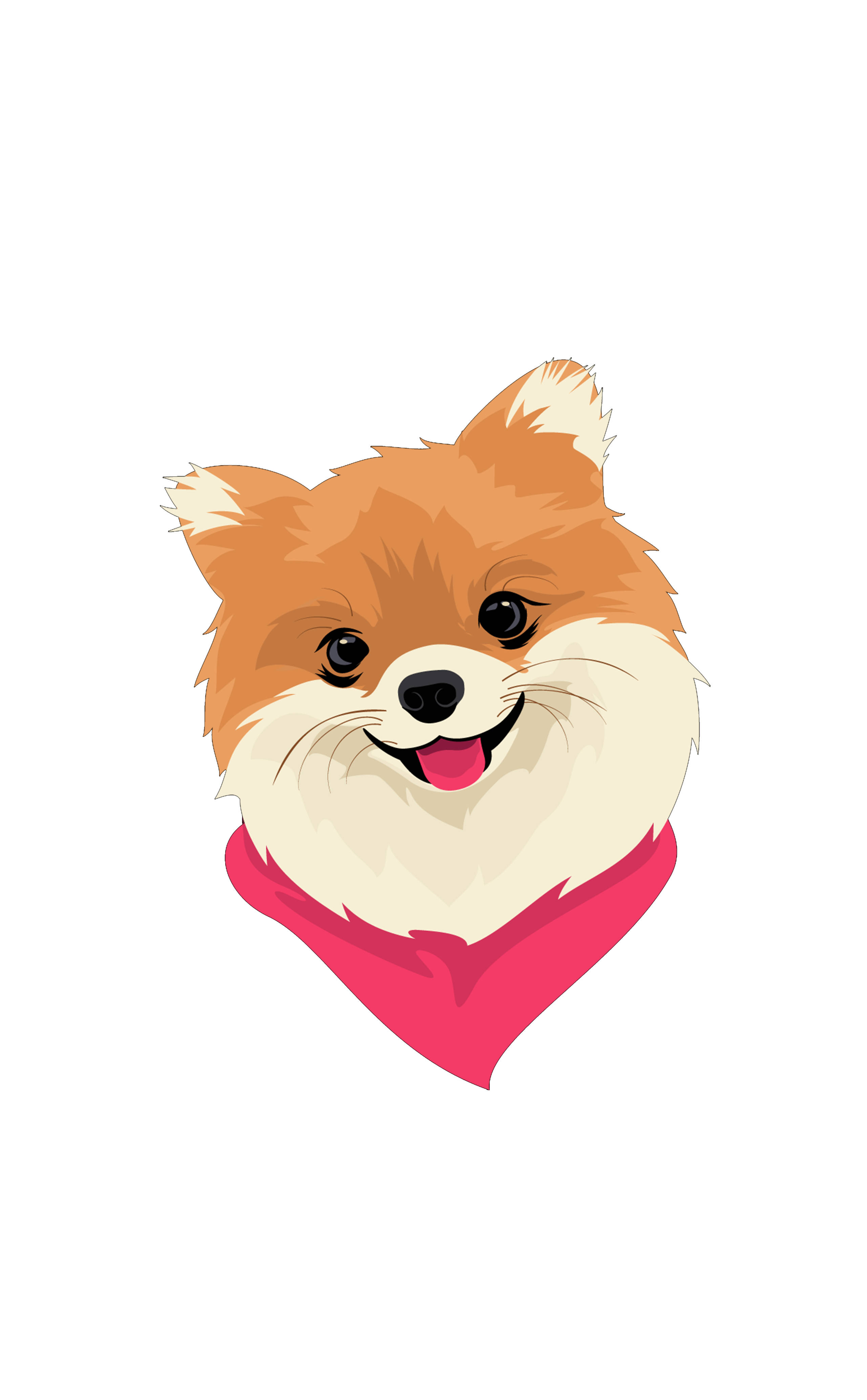 Dog Art 桌布 壁紙 — 一隻快樂的卡通博美犬，擁有蓬鬆的橙色和白色毛髮，在純白色背景上戴著一條亮粉紅色頭巾。