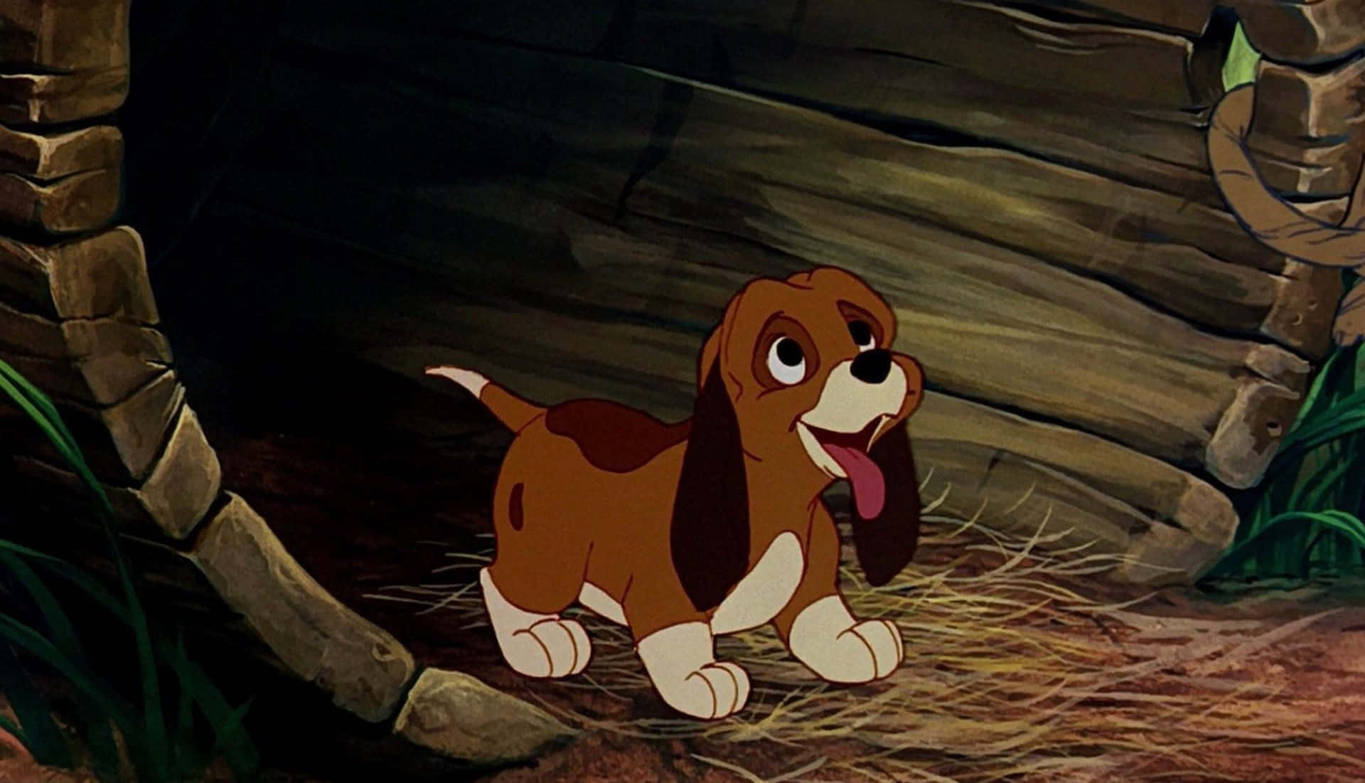 the fox and the hound 桌布 壁紙 — 一隻快樂的卡通比格犬幼犬，有棕色和白色的毛髮，站在光線昏暗的石洞中，伸出舌頭，周圍有稻草和綠色植物。