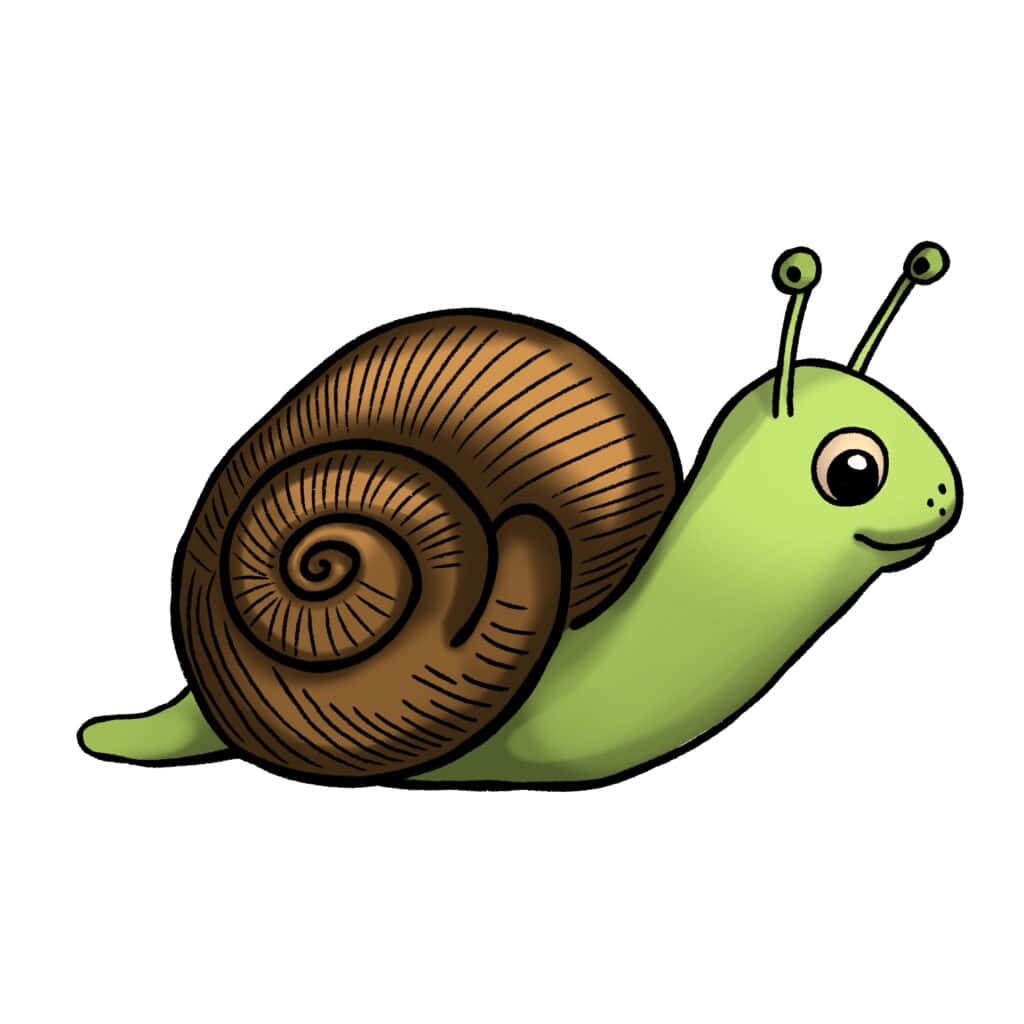 Snail 桌布 壁紙 — 一隻快樂的卡通蝸牛，有棕色螺旋殼和綠色身體，在純白色背景上微笑。