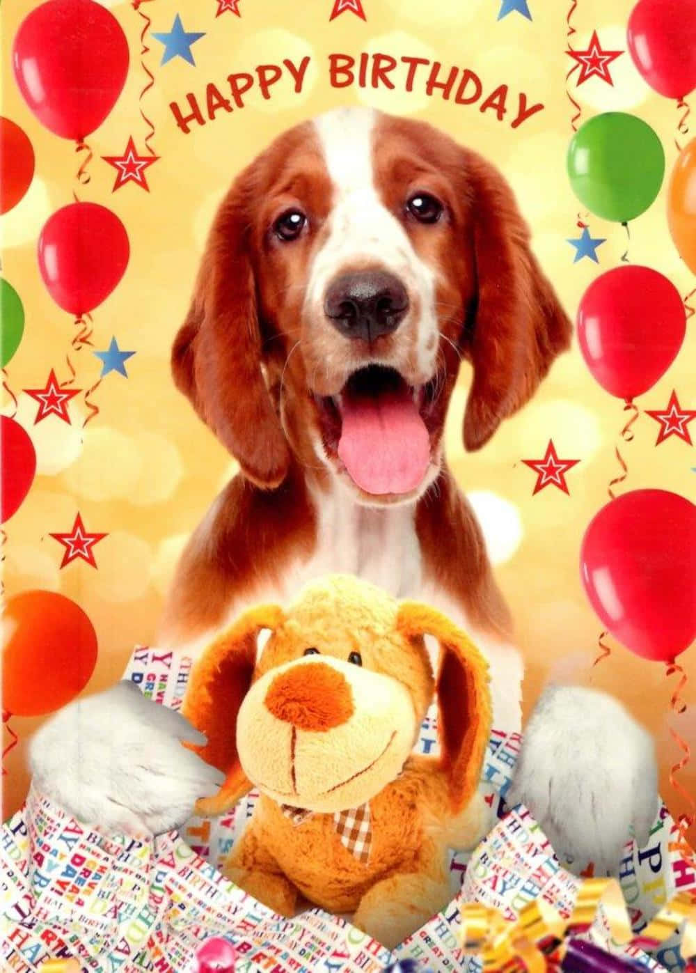 狗 桌布 壁紙 — 一隻快樂的棕白色比格犬幼犬伸出舌頭，坐在絨毛玩具後面，周圍是彩色氣球和星星的生日卡。