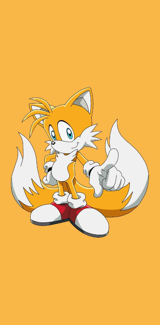 Tails 桌布 壁紙 — 一隻快樂的橙色狐狸，尾巴尖端白色，穿著紅色鞋子，在純橙色背景上豎起大拇指。