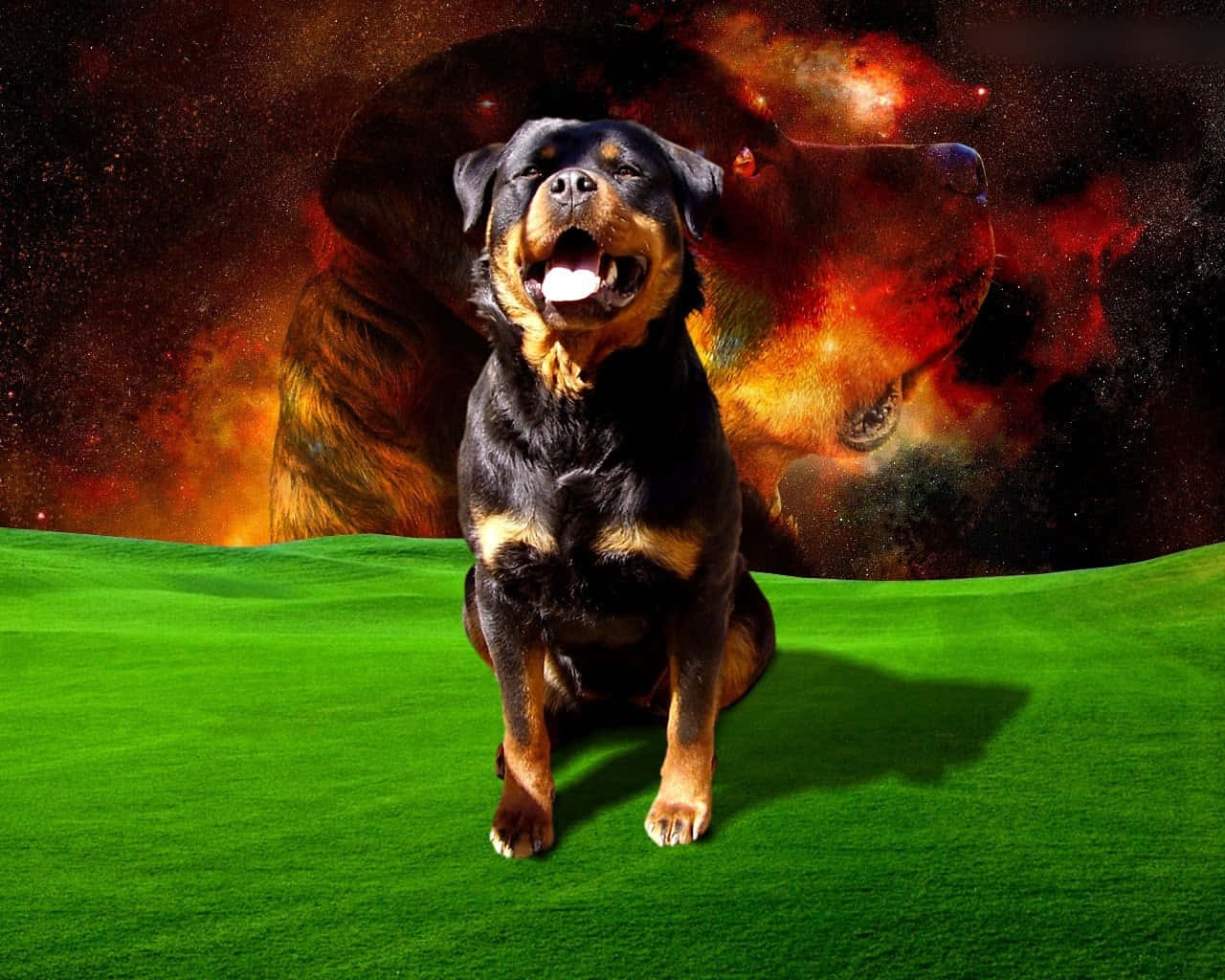 羅威那犬 桌布 壁紙 — 一隻快樂的洛威拿坐在充滿活力的綠草上，身後有一個熾熱的宇宙狗剪影。