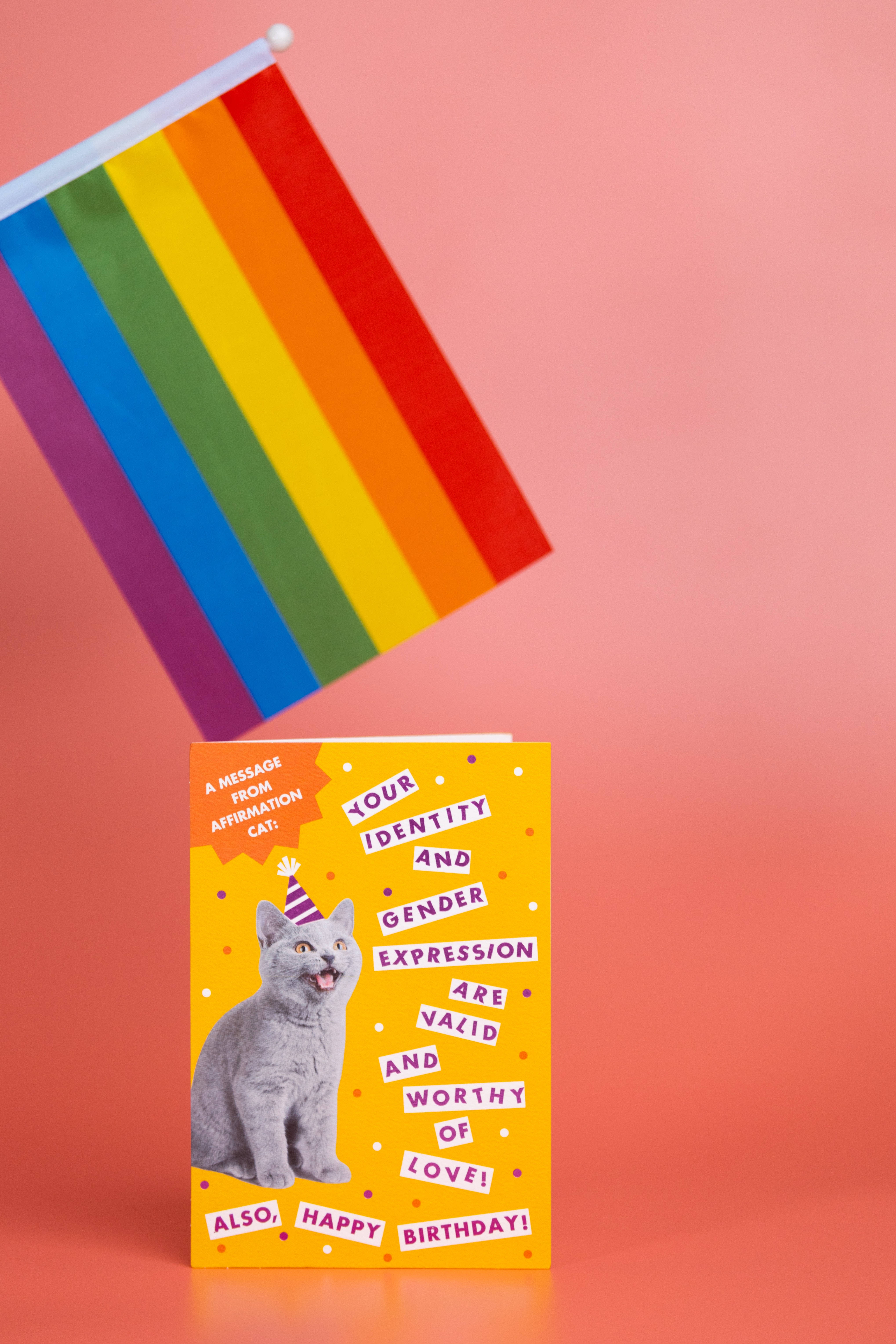 Pride Flag 桌布 壁紙 — 一隻快樂的灰色貓咪戴著派對帽，在明亮的黃色卡片上，旁邊有彩虹旗，背景是珊瑚色。