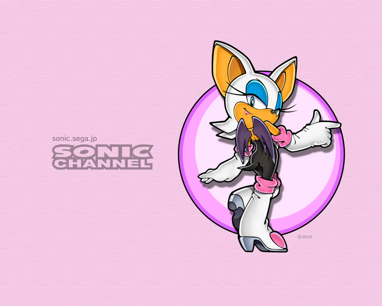 Rouge The Bat 桌布 壁紙 — 一隻快樂的白色擬人化狐狸，有橙色耳朵和藍色眼睛，在柔和的粉紅色背景上的紫色圓圈內擺出俏皮的姿勢。