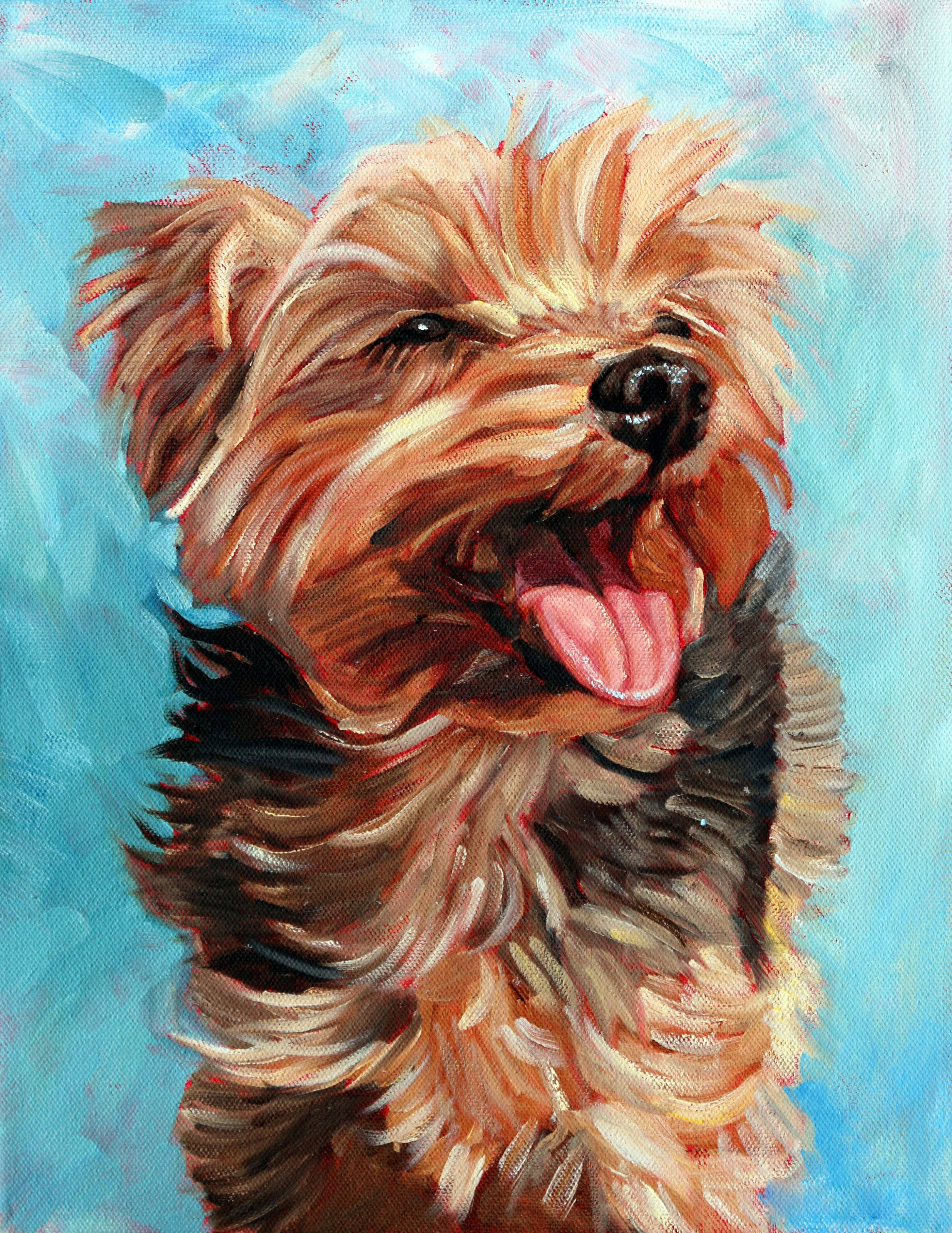 yorkie 桌布 壁紙 — 一隻快樂的約克夏㹴，擁有蓬鬆的棕黑色毛髮，在明亮的藍色塗漆背景前快樂地吠叫。