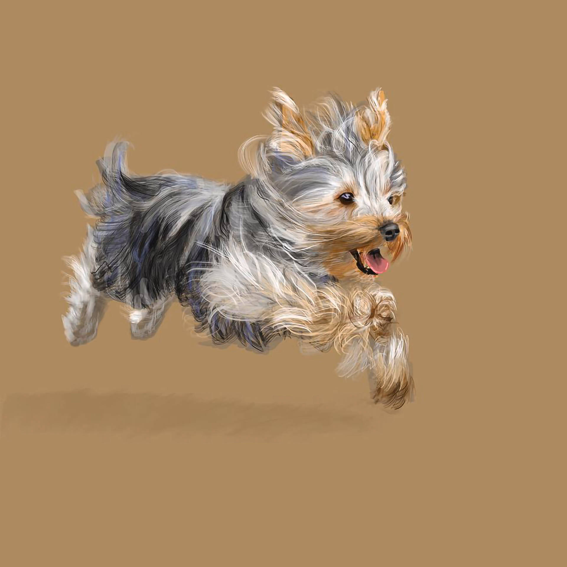 yorkie 桌布 壁紙 — 一隻快樂的約克夏㹴在半空中跳躍，蓬鬆的灰色和棕褐色毛髮在純棕褐色背景上動態飄揚。