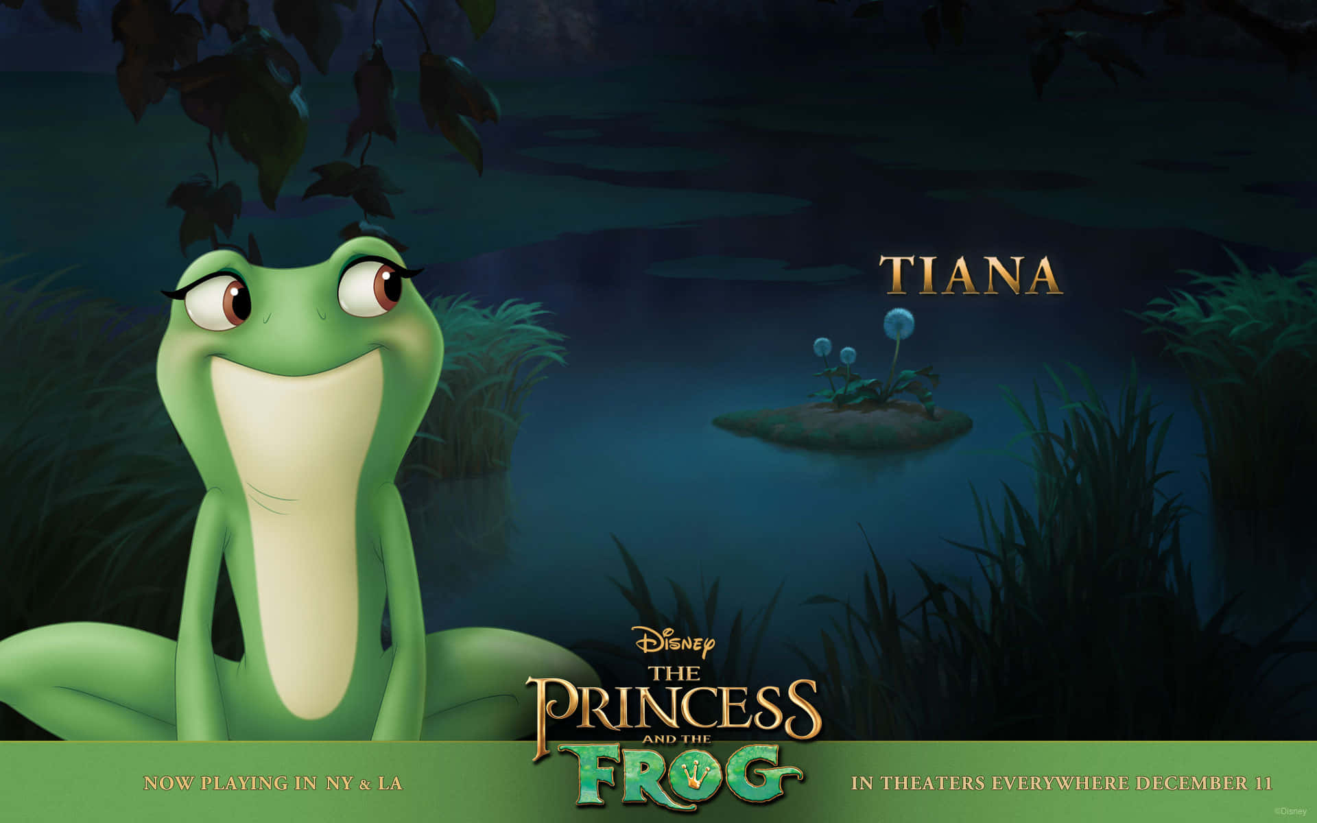 princess and the frog 桌布 壁紙 — 一隻快樂的綠色青蛙，大眼睛，坐在月光下的池塘邊，周圍是黑暗的樹葉，星空下。