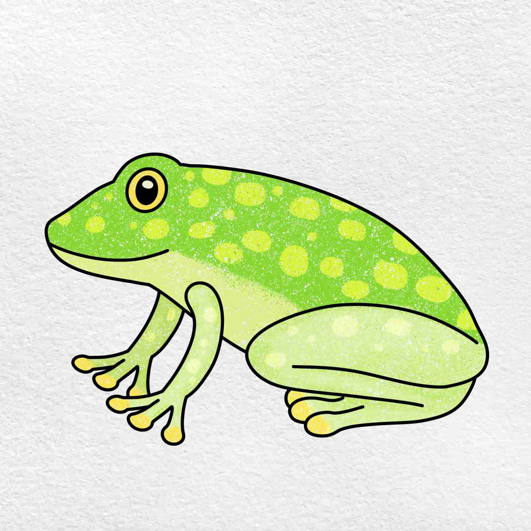 Frog Drawing 桌布 壁紙 — 一隻快樂的綠色青蛙帶有黃色斑點，平靜地坐在有紋理的白色紙上，以粗黑線條勾勒輪廓。