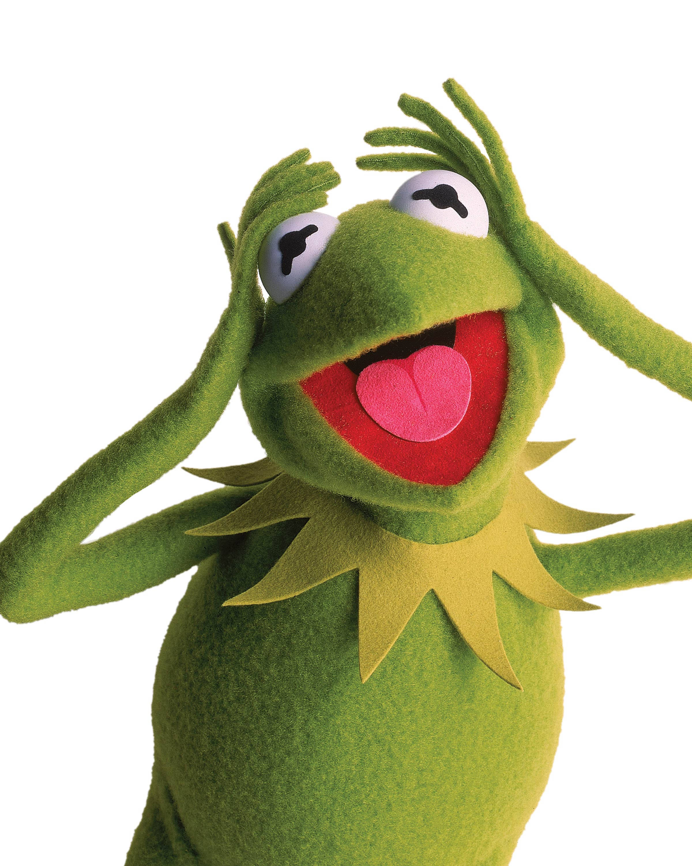 kermit 桌布 壁紙 — 一隻快樂的綠色青蛙木偶，有大眼睛和粉紅色舌頭，雙手放在頭上，背景為白色。