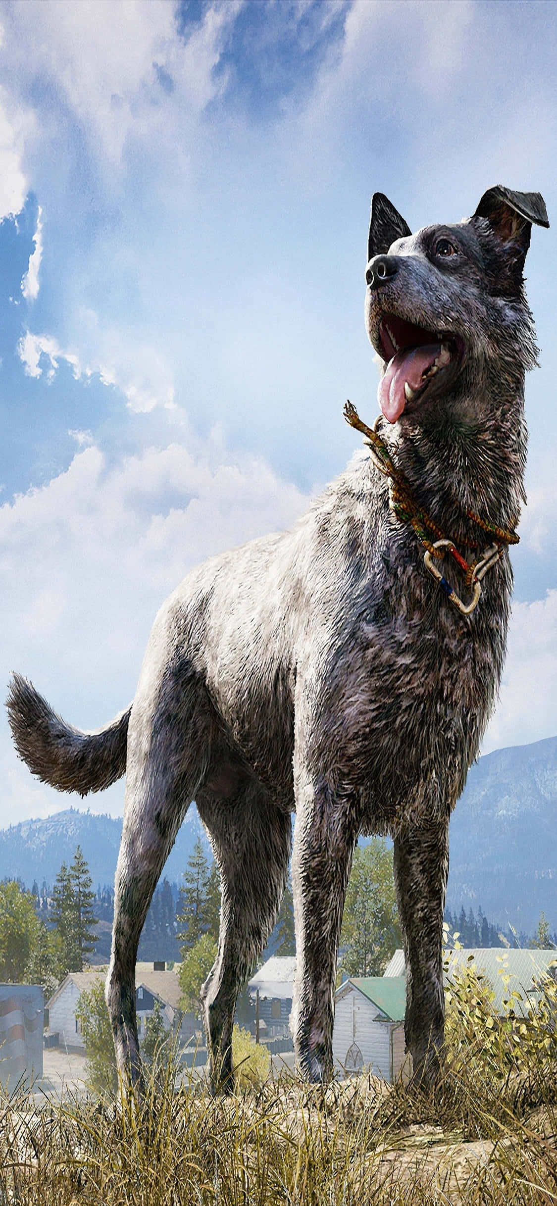 iPhone Xs Far Cry 5 桌布 壁紙 — 一隻快樂的藍色赫勒犬在長草中警覺地站立，背後是明亮的藍天和遠山。