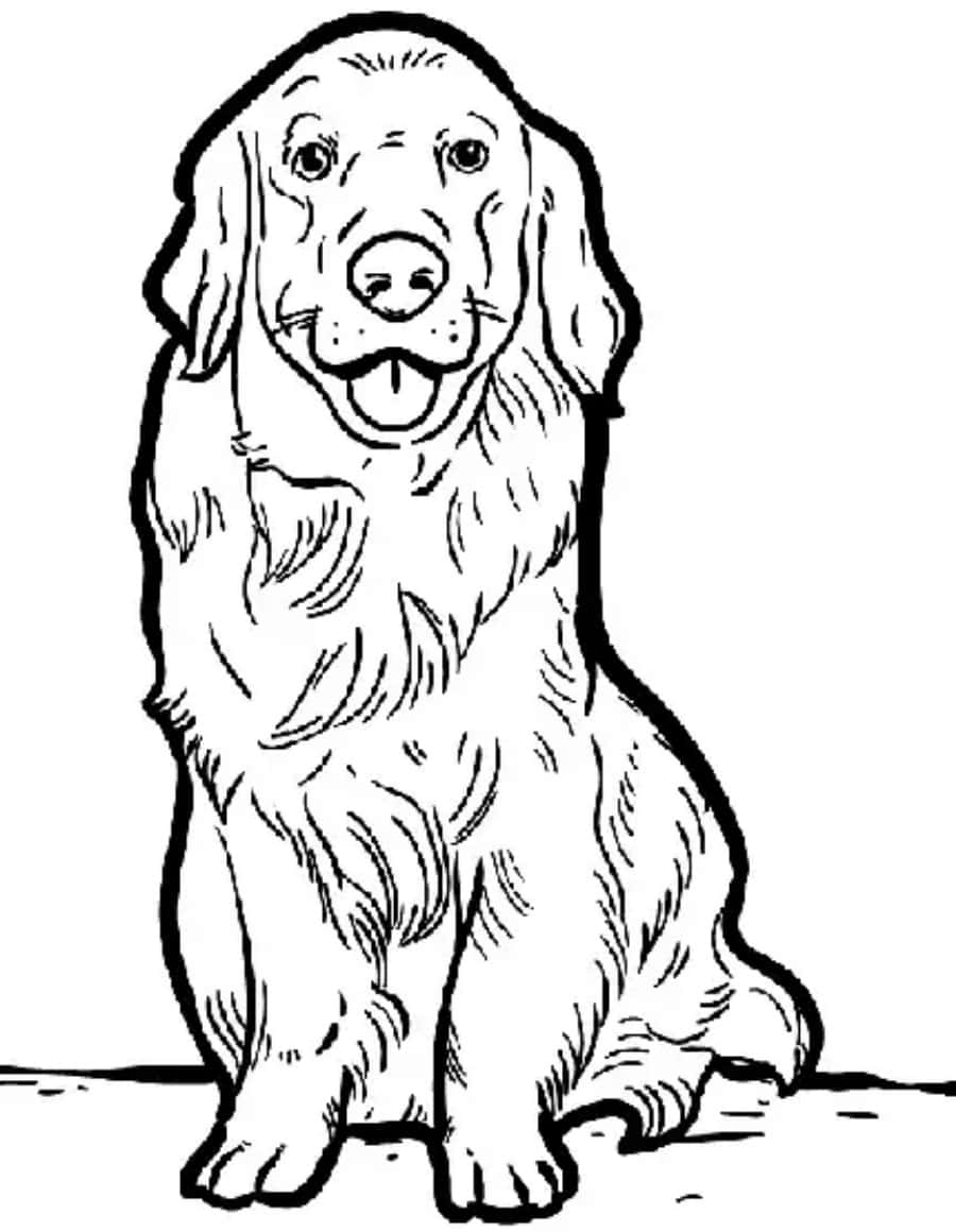 黃金獵犬 桌布 壁紙 — 一隻快樂的金毛尋回犬坐直伸出舌頭，以詳細的黑白線條畫呈現。