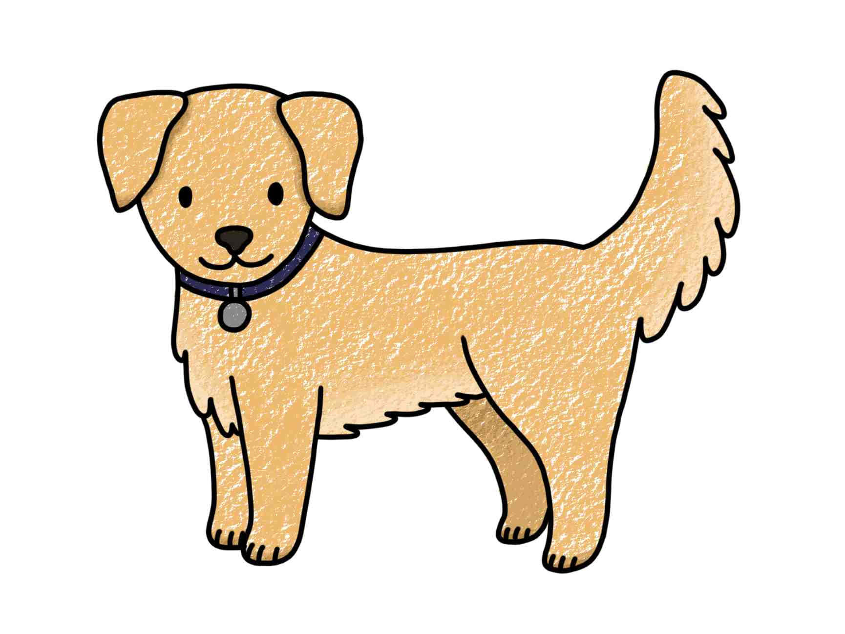 Easy Dog 桌布 壁紙 — 一隻快樂的金毛獵犬幼犬，戴著紫色項圈，在純白色背景前警覺地站立。