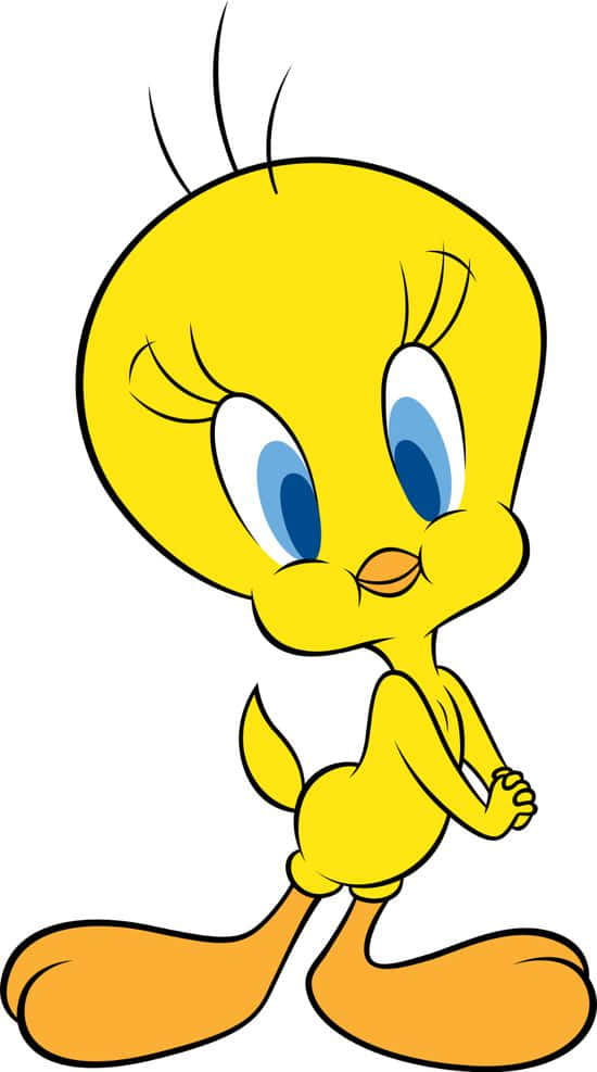 Cartoon Characters 桌布 壁紙 — 一隻快樂的黃色卡通鳥，有大藍眼睛和橙色腳，自信地站在純白色背景前。