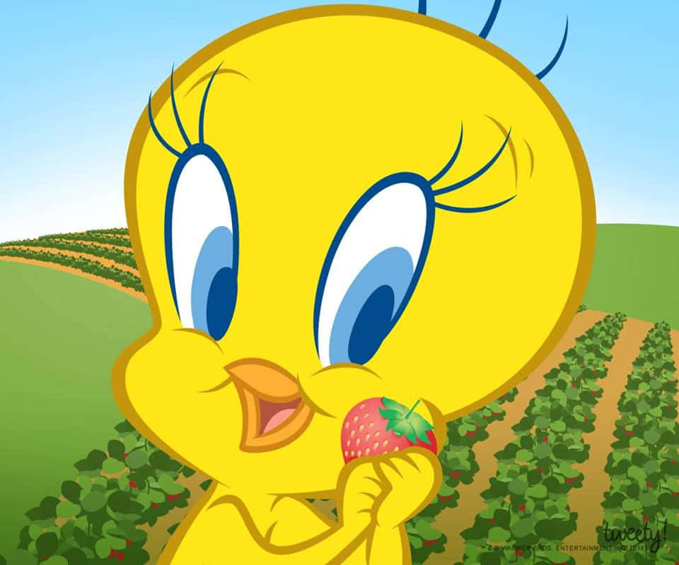 Tweety Bird 桌布 壁紙 — 一隻快樂的黃色卡通鳥，有著大大的藍色眼睛，在晴朗的藍天下，綠色的田野裡拿著一顆草莓。