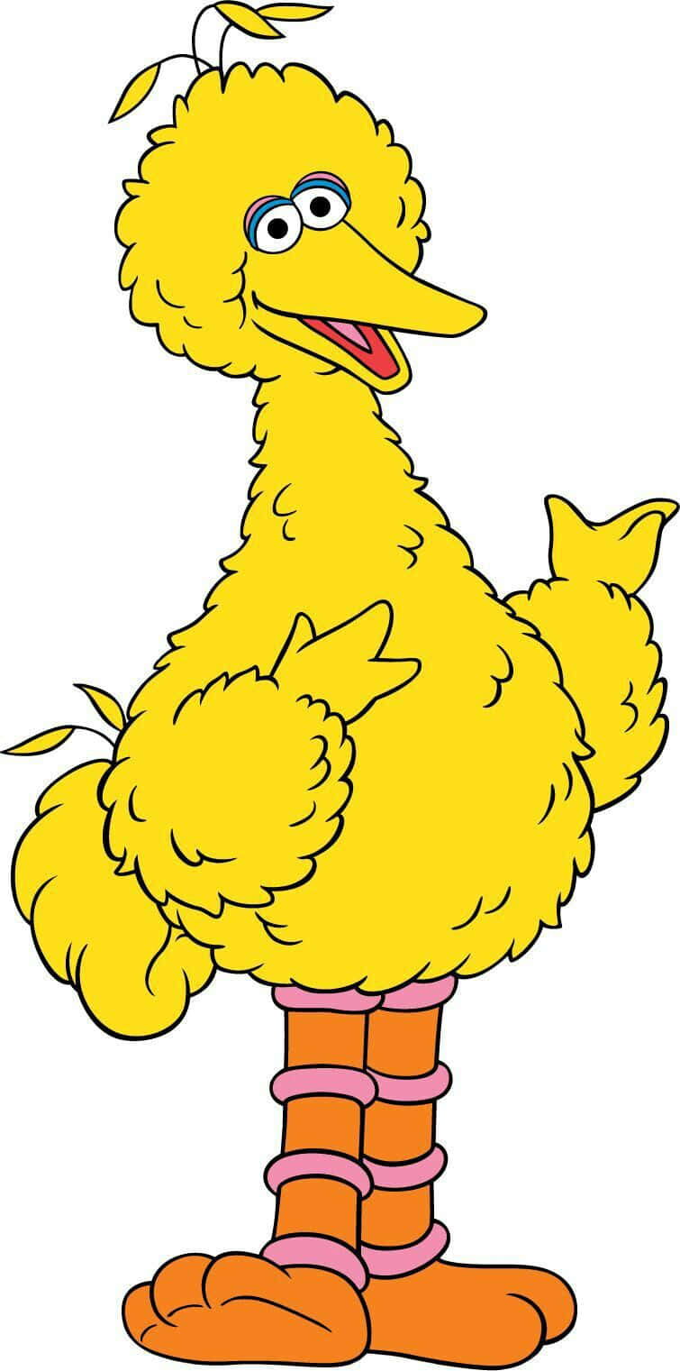 Big Bird 桌布 壁紙 — 一隻快樂的黃色卡通鳥，有蓬鬆的羽毛、橙色的腿和粉紅色的帶子，站在白色背景上微笑。