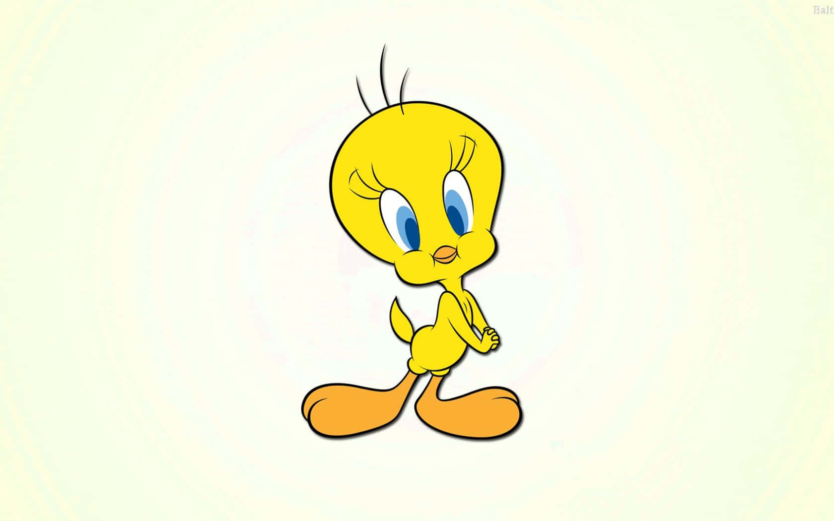 Tweety Bird 桌布 壁紙 — 一隻快樂的黃色卡通鳥，有藍色眼睛和橙色腳，站在柔和的奶油色背景前。