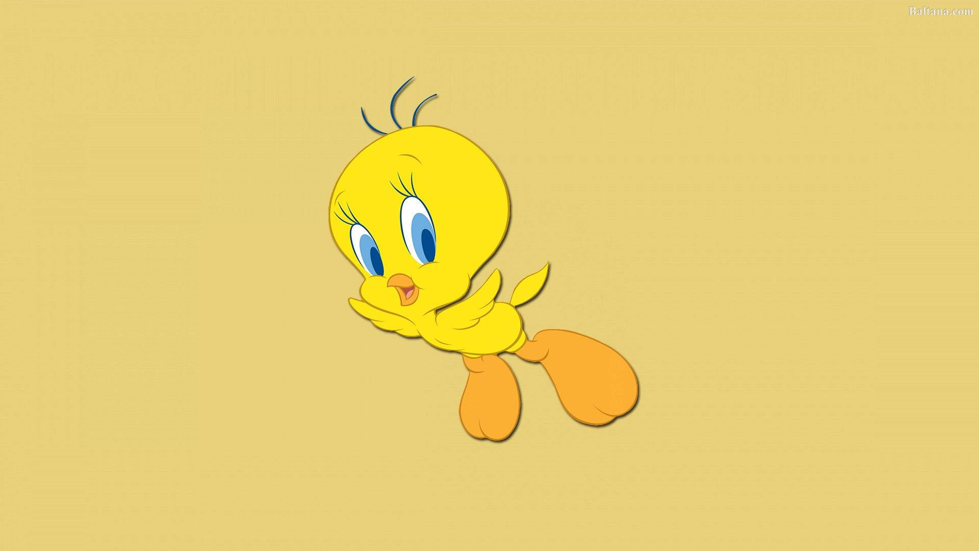 Tweety 桌布 壁紙 — 一隻快樂的黃色卡通鳥，有藍色眼睛和橙色腳，漂浮在純淺黃色背景上。