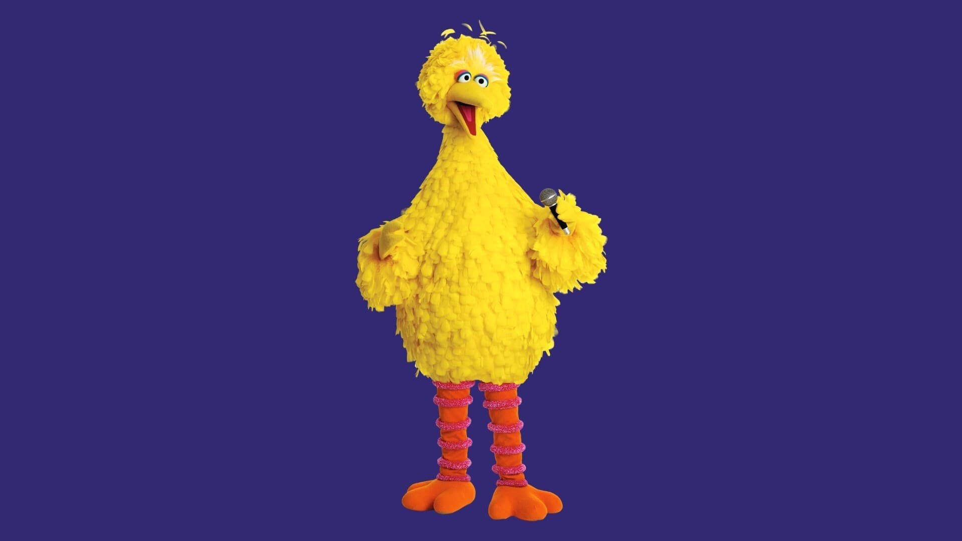 Big Bird 桌布 壁紙 — 一隻快樂的黃色大鳥玩偶在純紫色背景前拿著麥克風。