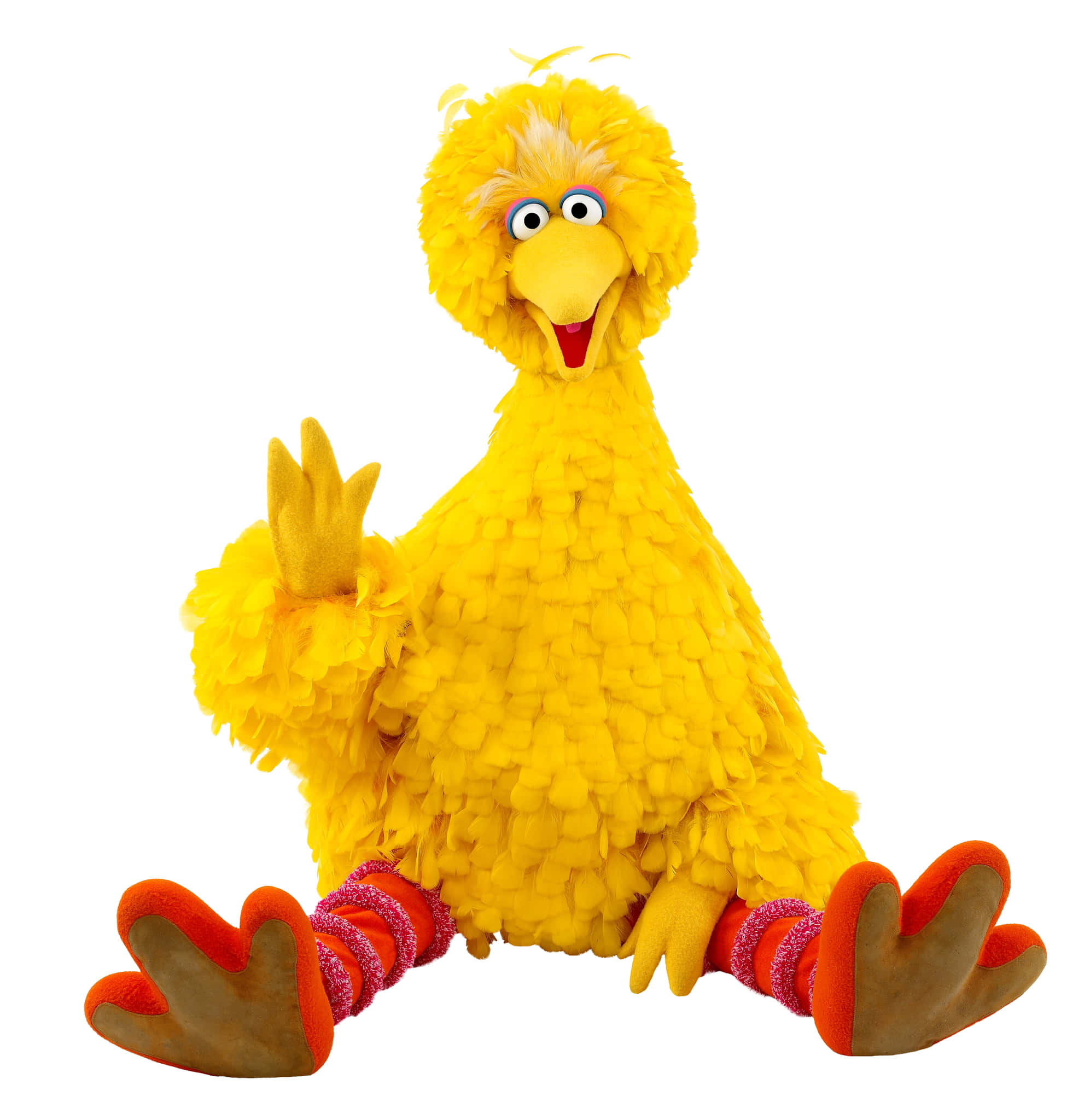 Big Bird 桌布 壁紙 — 一隻快樂的黃色小鳥木偶，有著蓬鬆的羽毛，在純白色背景上開心地揮手。