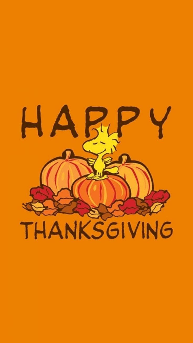 Happy Thanksgiving 桌布 壁紙 — 一隻快樂的黃色小鳥棲息在南瓜和秋葉上，背景為純橙色，並帶有「HAPPY THANKSGIVING」文字。