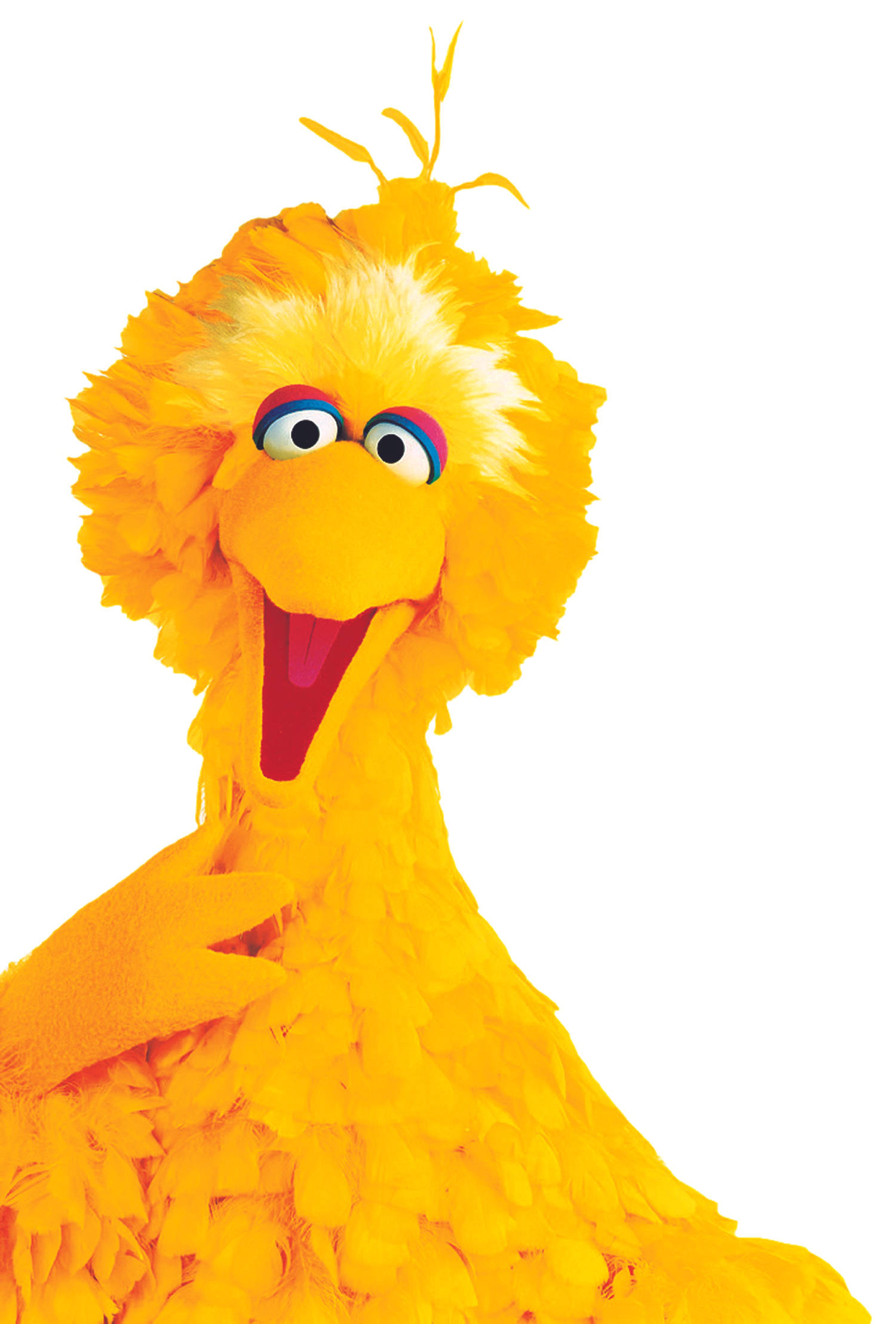 Big Bird 桌布 壁紙 — 一隻快樂的黃色鳥木偶，擁有蓬鬆的羽毛和大眼睛，在白色背景上燦爛地微笑。
