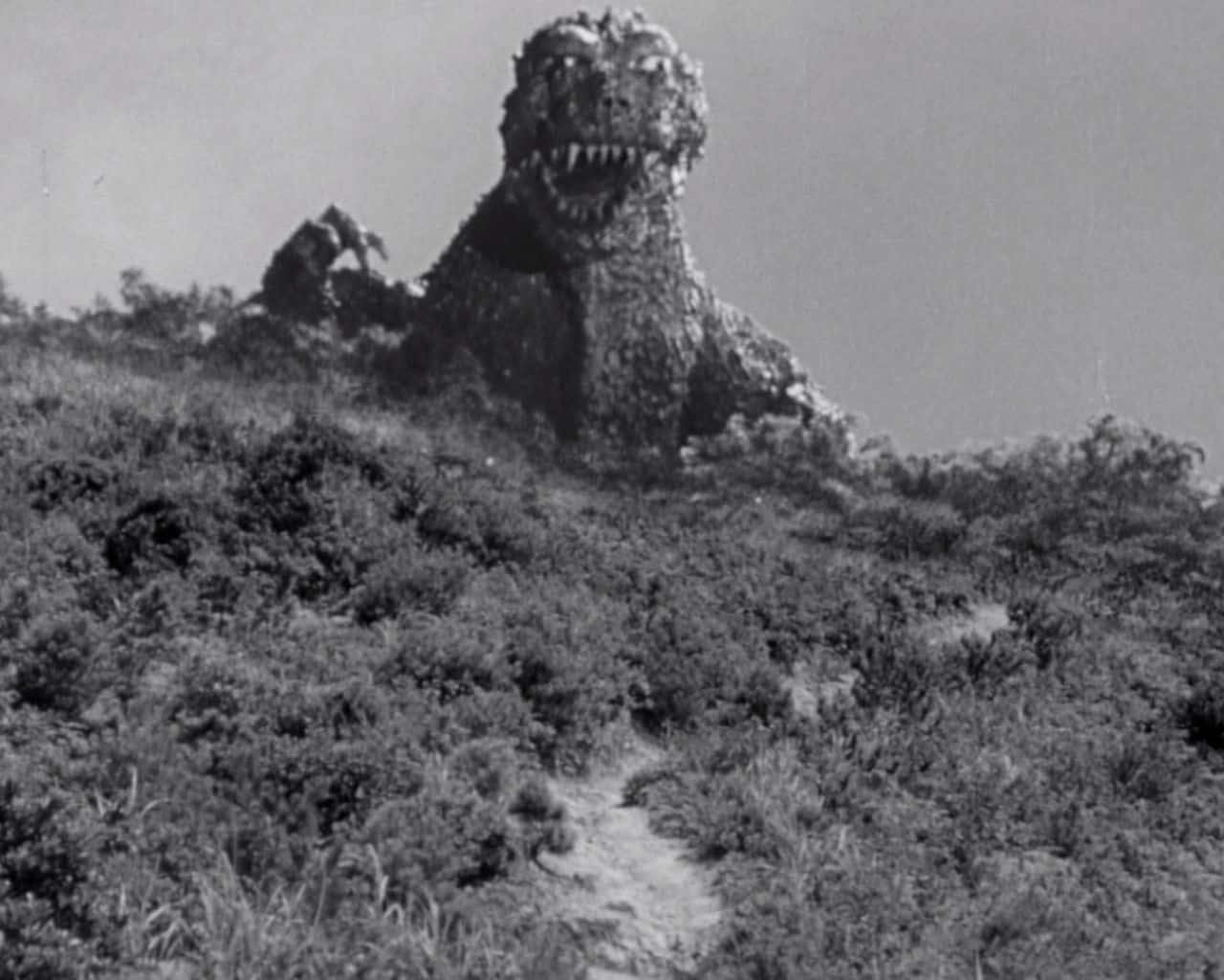 Godzilla 1954 桌布 壁紙 — 一隻怪獸哥吉拉從長滿草的山坡上出現，畫面是粗糙的黑白電影劇照。