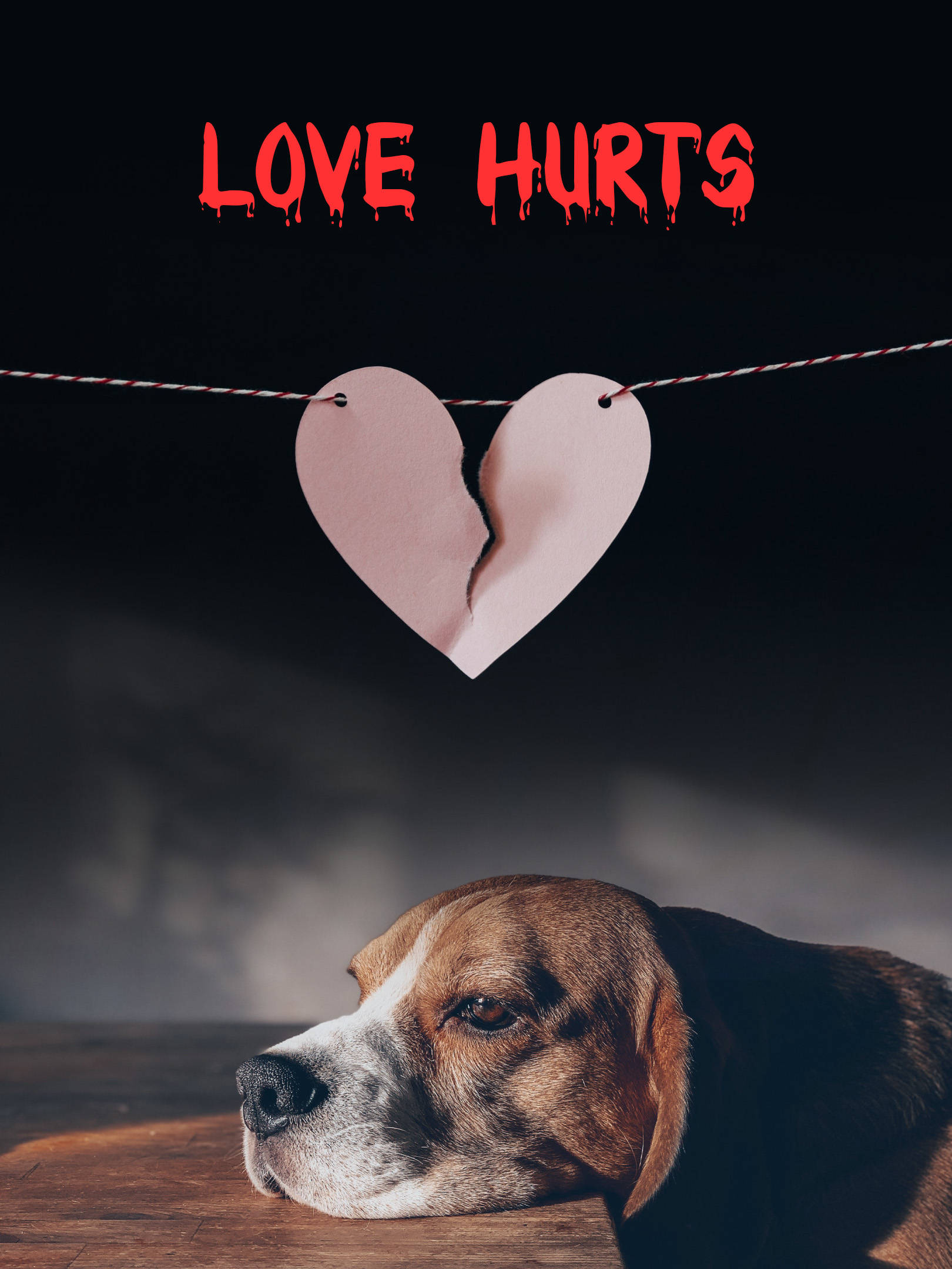 愛心 桌布 壁紙 — 一隻悲傷的比格犬將頭擱在木地板上，下方懸掛著一個用繩子繫著的破碎紙心，上方有紅色滴落的文字寫著「love hurts」。
