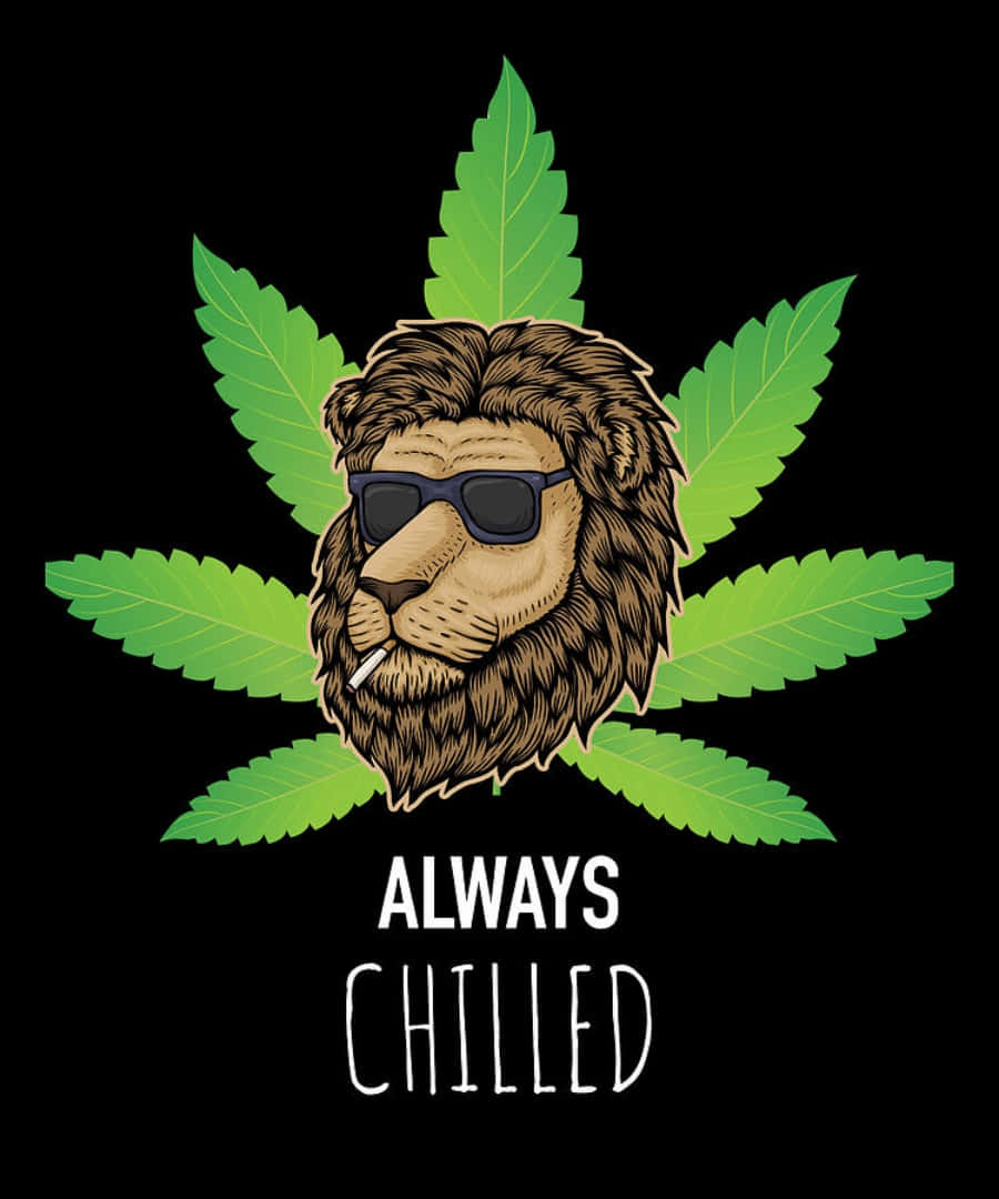 Weed Funny 桌布 壁紙 — 一隻戴太陽眼鏡、手持香煙的卡通獅子，被綠色大麻葉包圍，背景為黑色，並帶有文字 always chilled。