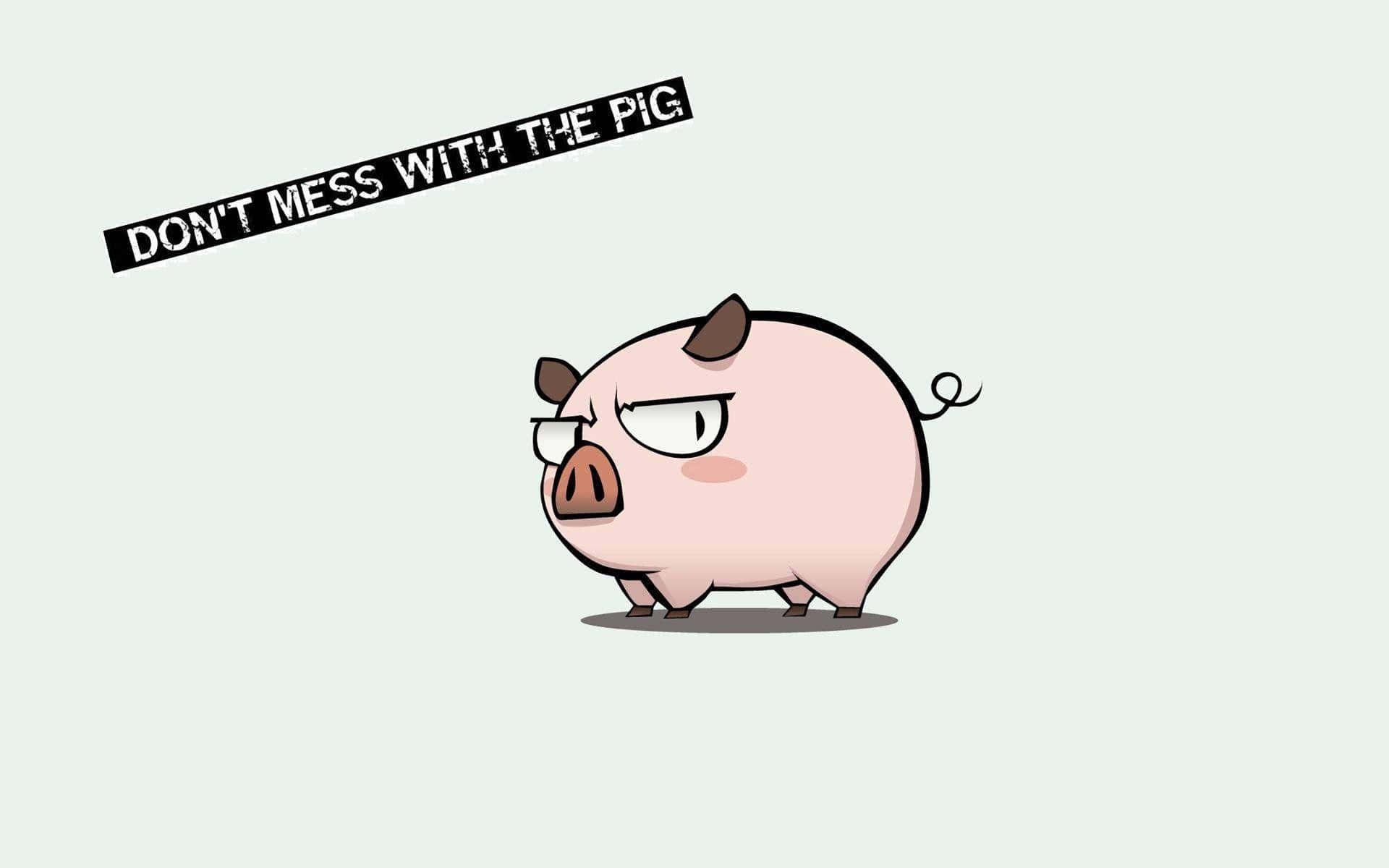 Cool Piggy 桌布 壁紙 — 一隻戴眼鏡、表情嚴肅的卡通豬在淡綠色背景上警告「don't mess with the pig」。