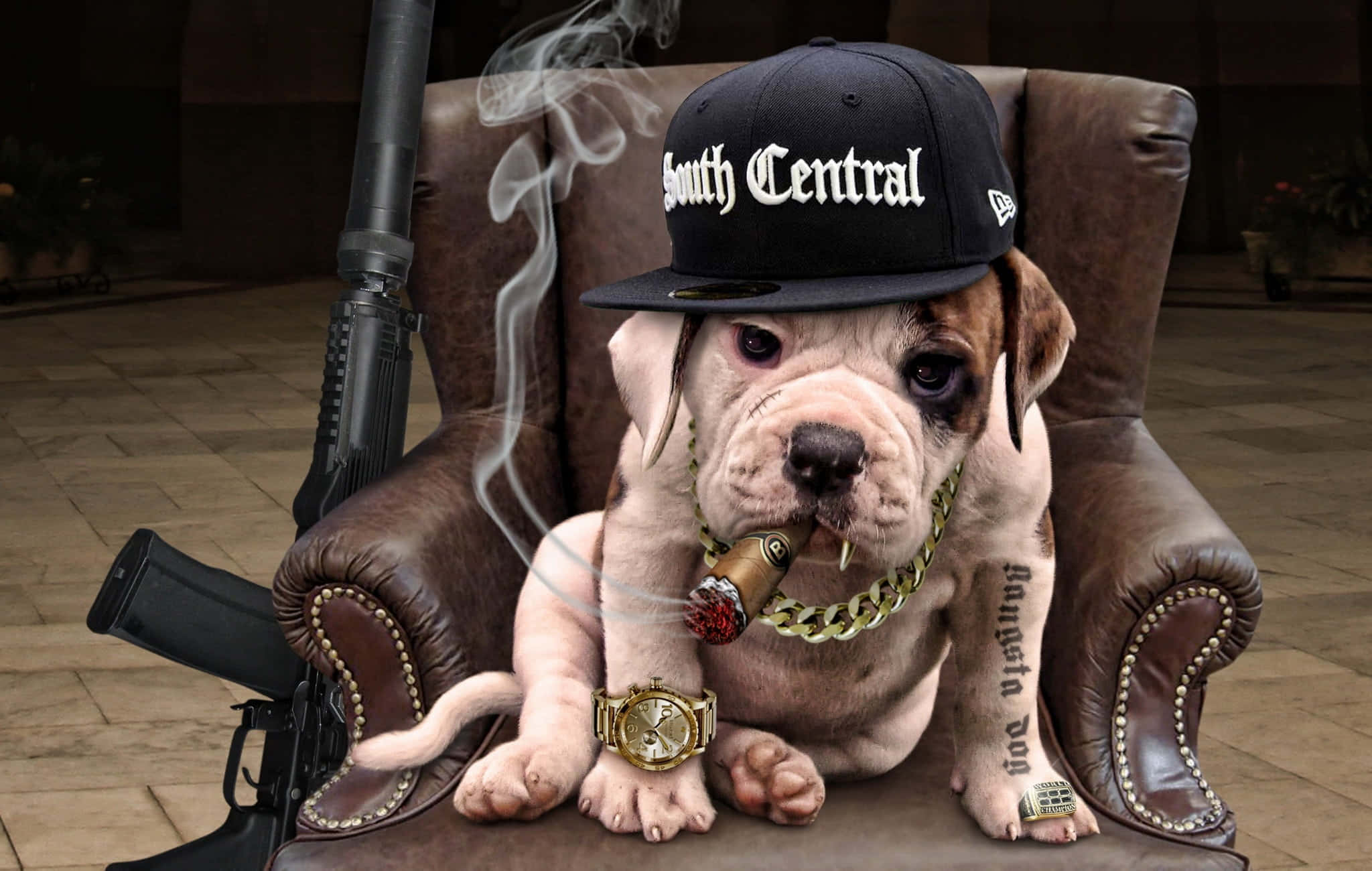 黑幫動圖 桌布 壁紙 — 一隻戴著 'South Central' 帽子的鬥牛犬幼犬，抽著雪茄，懶洋洋地躺在皮椅上，旁邊放著一支步槍。