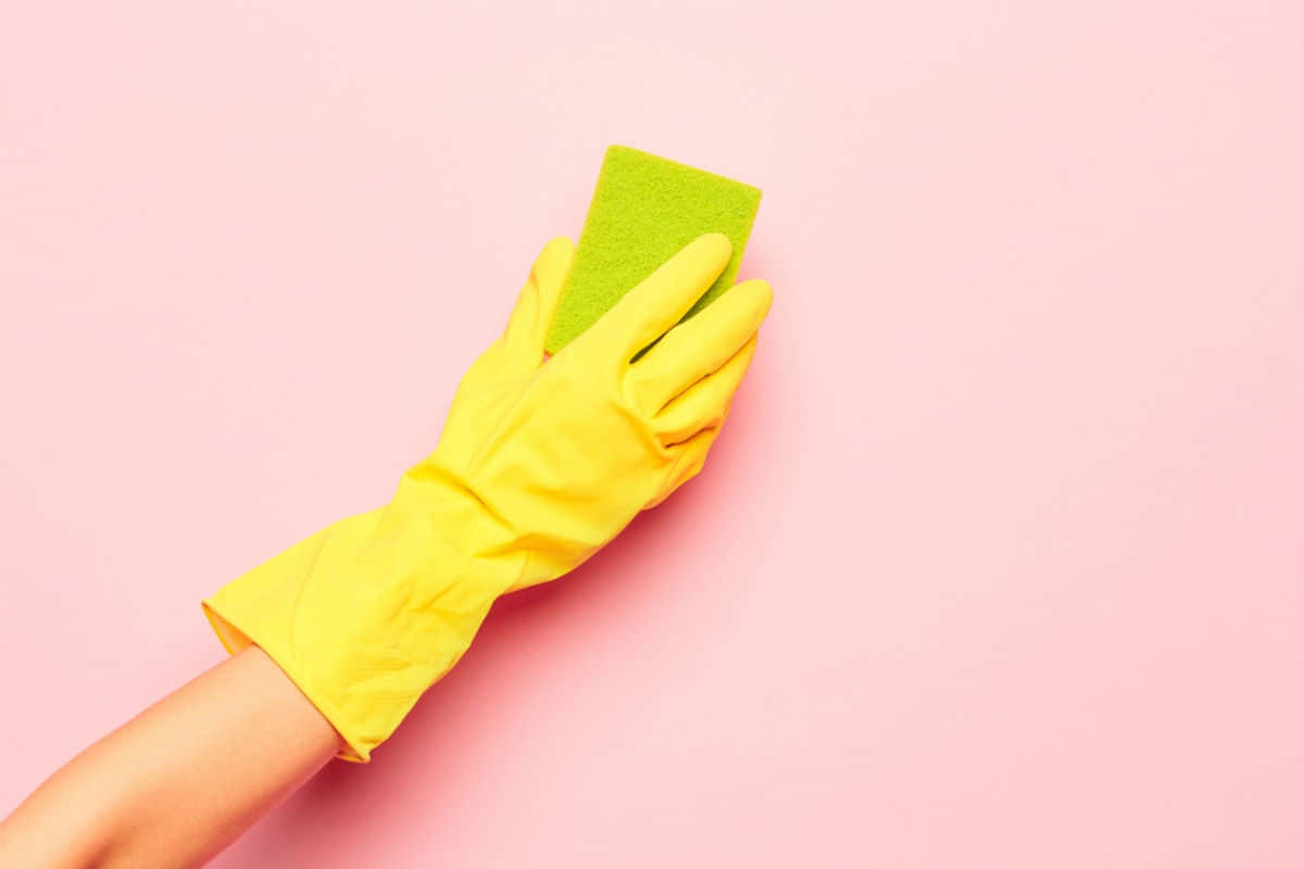 Cleaning 桌布 壁紙 — 一隻戴著亮黃色橡膠手套的手，在柔和的粉紅色背景上拿著一塊綠色海綿。