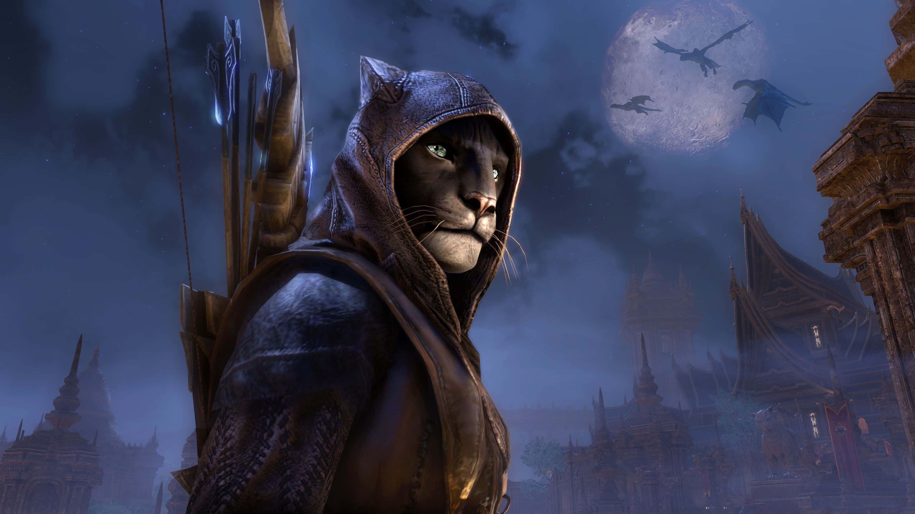 Xbox Games 桌布 壁紙 — 一隻戴著兜帽的貓戰士，擁有發光的綠色眼睛，站在月光下的奇幻城市景觀中，背景是滿月，有飛行的生物。
