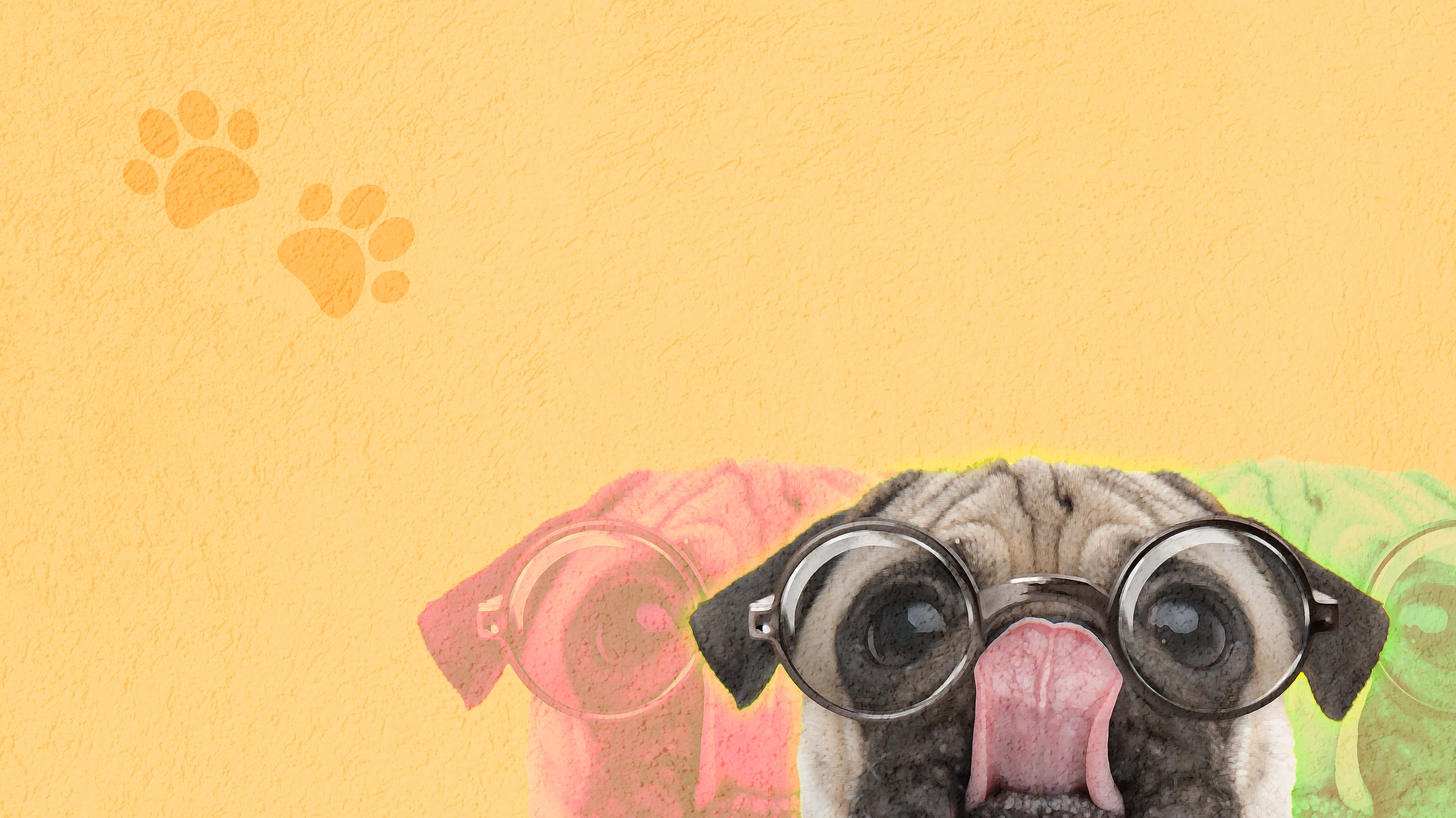 Dog Desktop 桌布 壁紙 — 一隻戴著圓框眼鏡的哈巴狗在帶有紋理的黃色背景上伸出舌頭，並有爪印足跡。