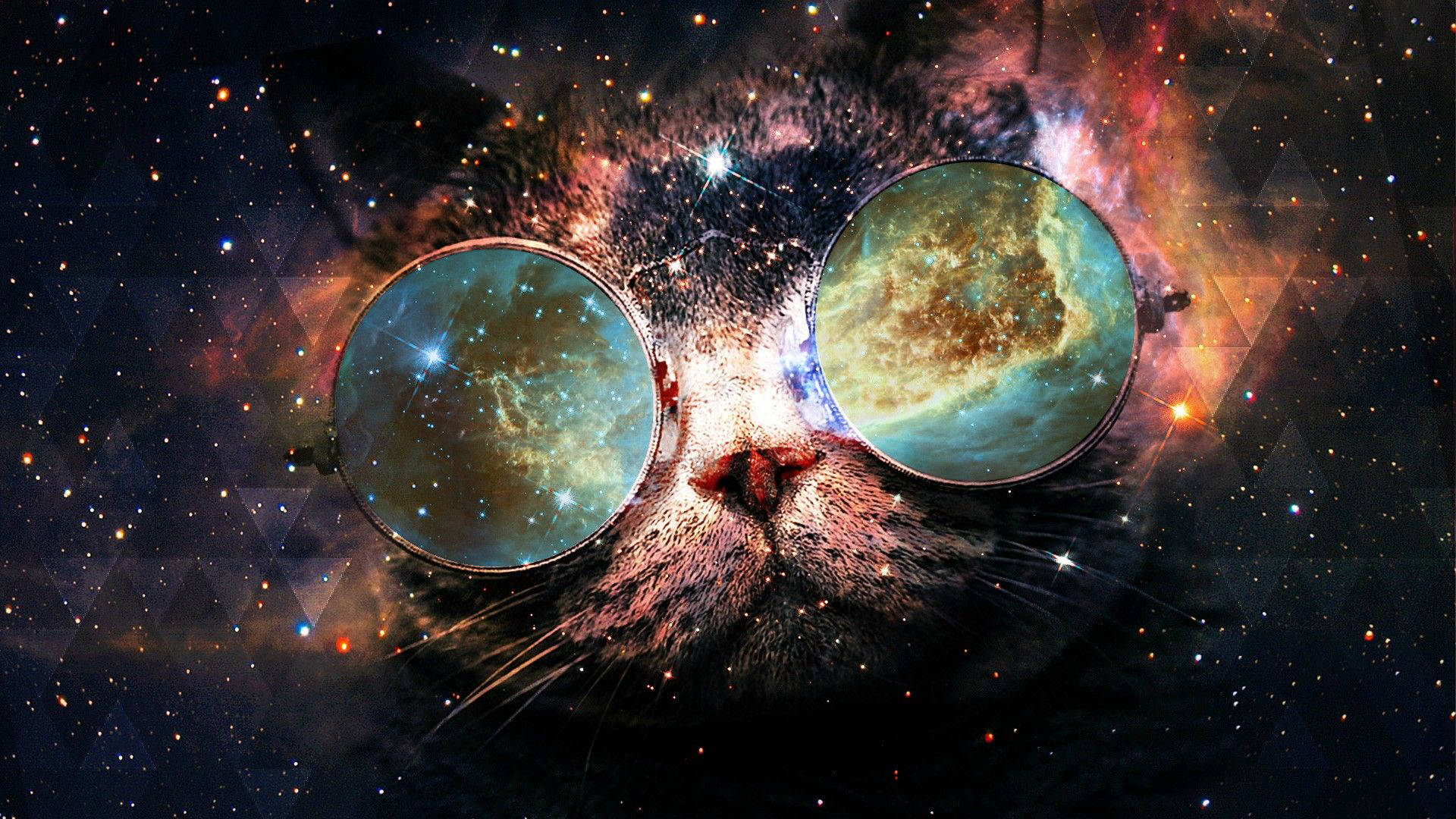 一隻貓在星光宇宙背景下，太陽眼鏡中有銀河反射。 — 酷貓 GIF 壁紙