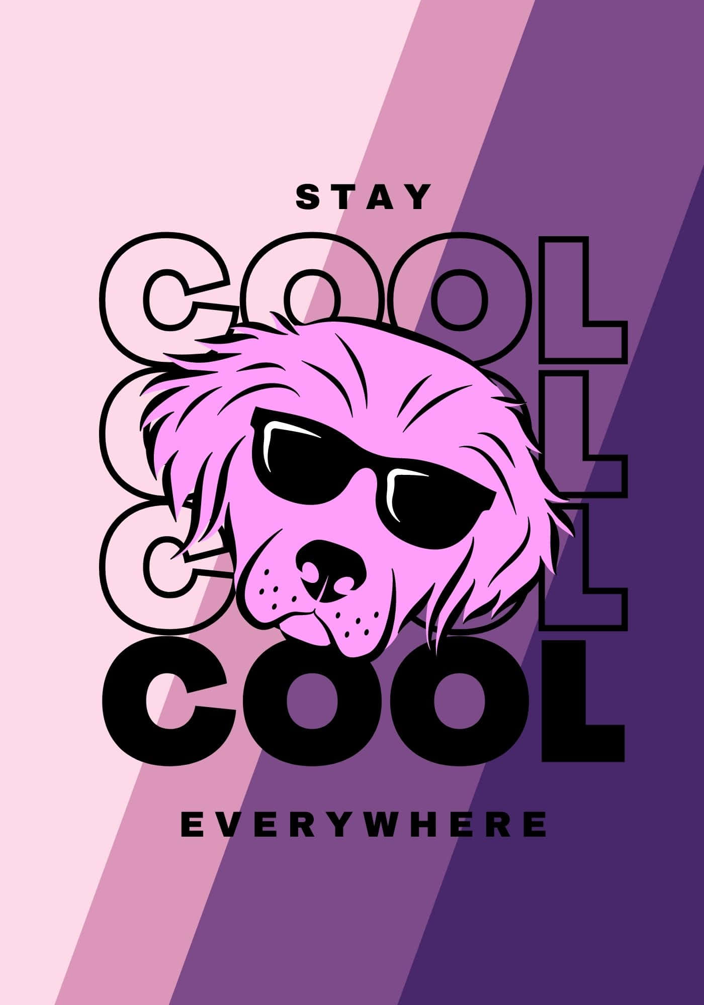 Dog Meme 桌布 壁紙 — 一隻戴著太陽眼鏡的粉紅色風格化狗，置於粗體黑色文字「STAY COOL COOL COOL EVERYWHERE」中央，背景為粉紅與紫色漸變。