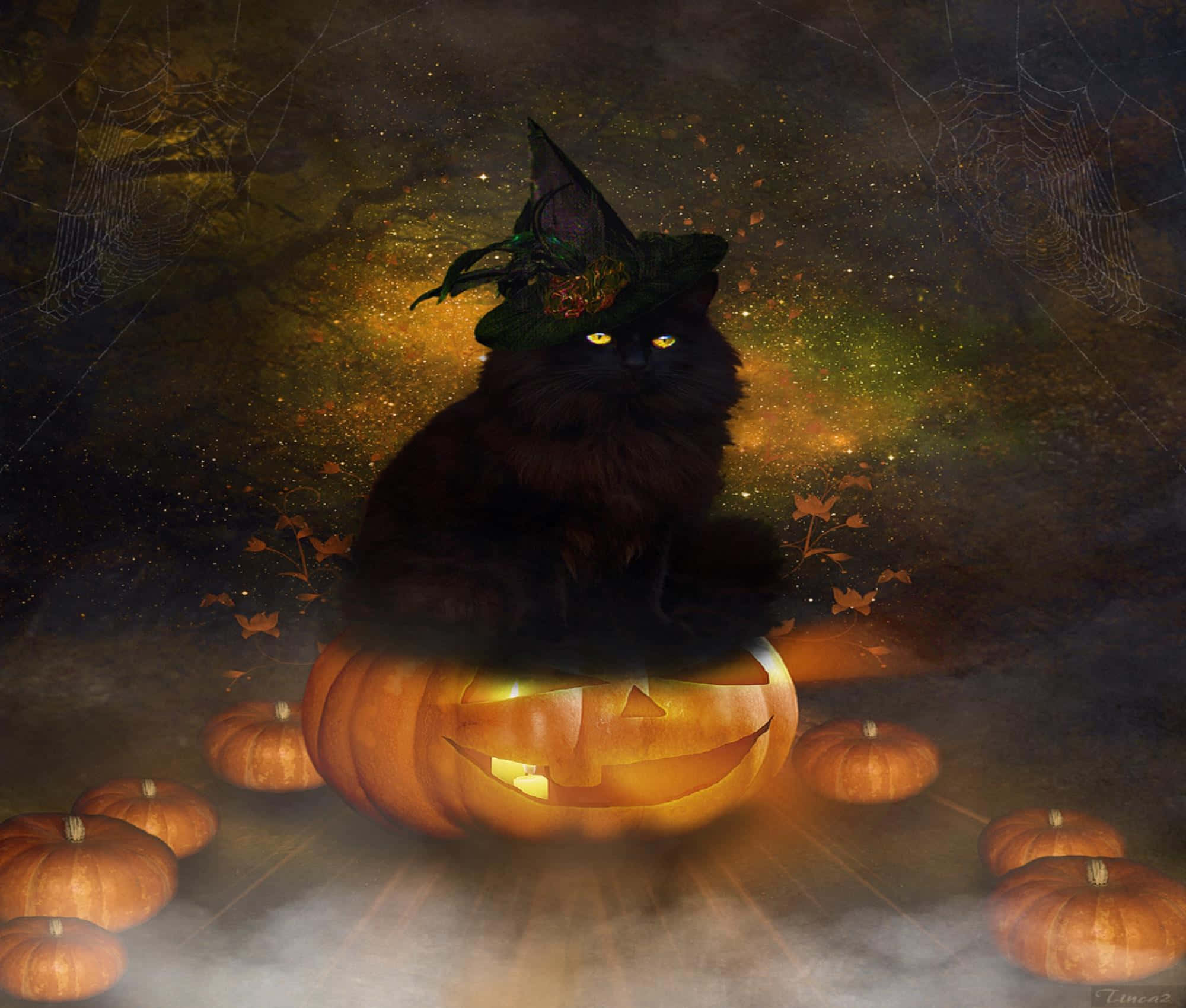 Black Cat Halloween 桌布 壁紙 — 一隻戴著巫師帽的黑貓坐在發光的傑克南瓜燈上，周圍環繞著南瓜和蜘蛛網，營造出迷霧般的萬聖節場景。