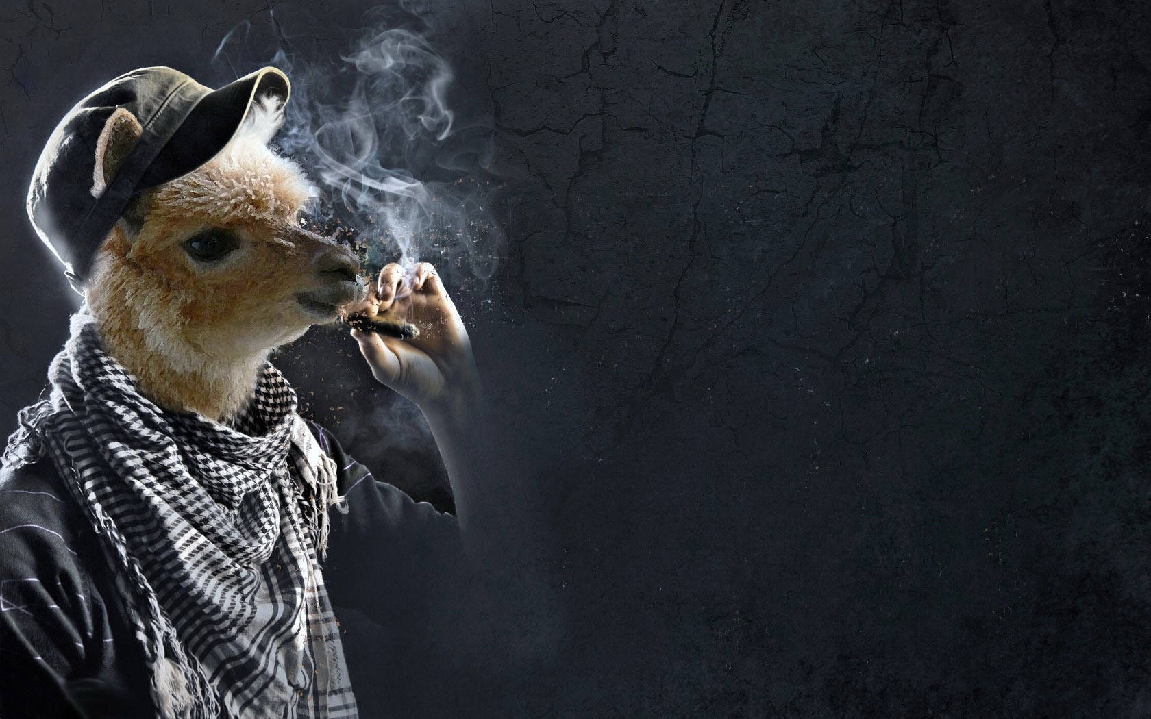 動物 桌布 壁紙 — 一隻戴著帽子和圍巾的風格化羊駝，在裂開的深色牆壁前抽雪茄，煙霧繚繞。