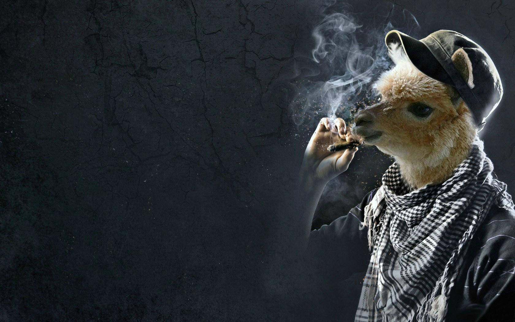 藝術 桌布 壁紙 — 一隻戴著帽子和圍巾的風格化羊駝，在裂開的深色牆壁前抽煙，煙霧繚繞。