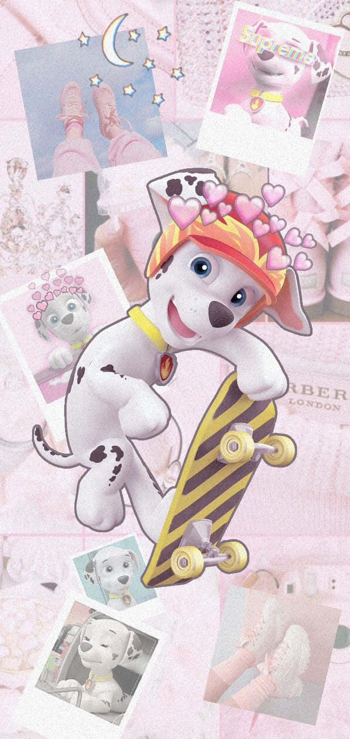 Skye Paw Patrol 桌布 壁紙 — 一隻戴著心形裝飾頭盔的快樂卡通小狗，在粉紅色照片和星星的拼貼中踩著條紋滑板。