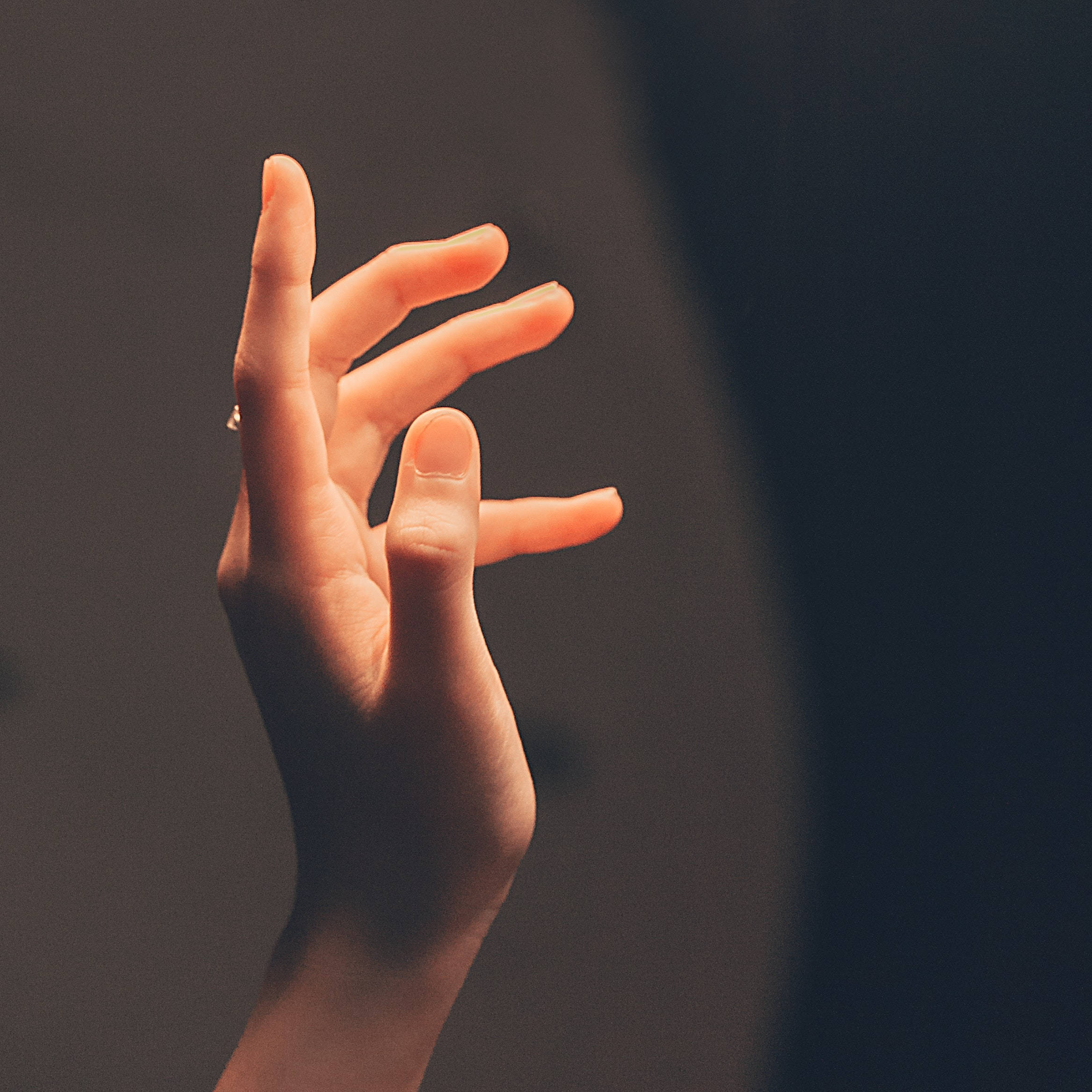 hand 桌布 壁紙 — 一隻戴著戒指的手在柔和的燈光下，輕輕彎曲，襯托著深色漸變背景。